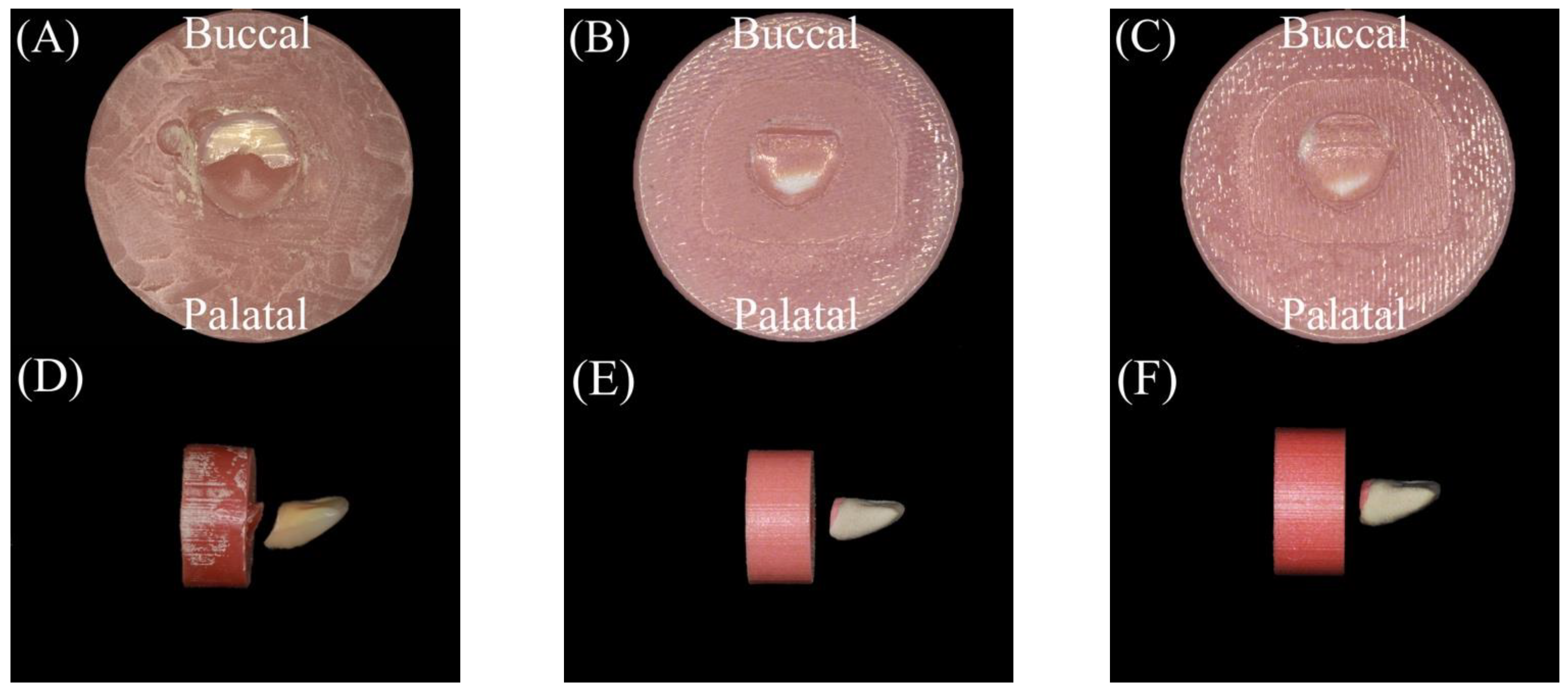 Polymers 15 02134 g005