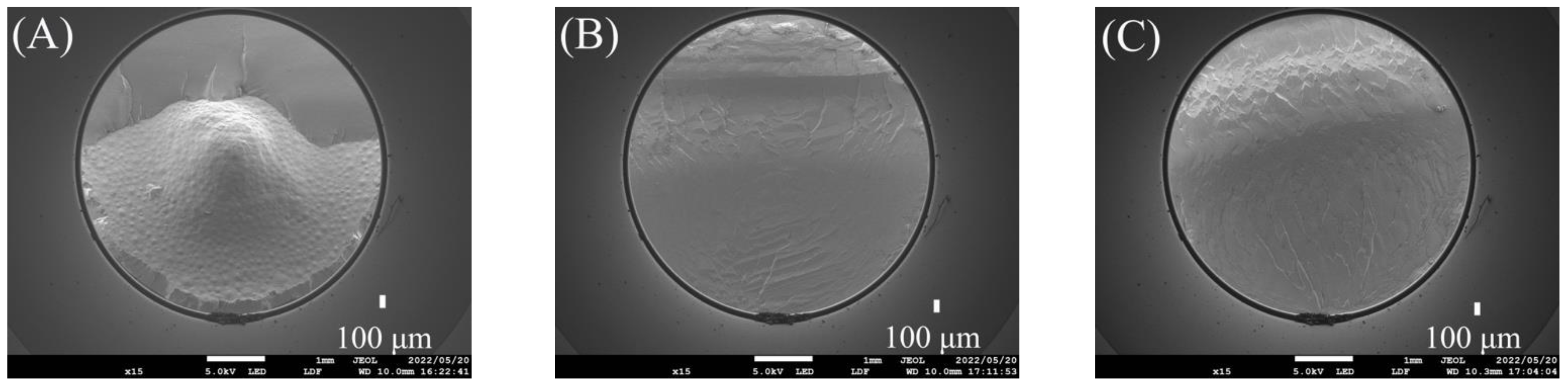 Polymers 15 02134 g007