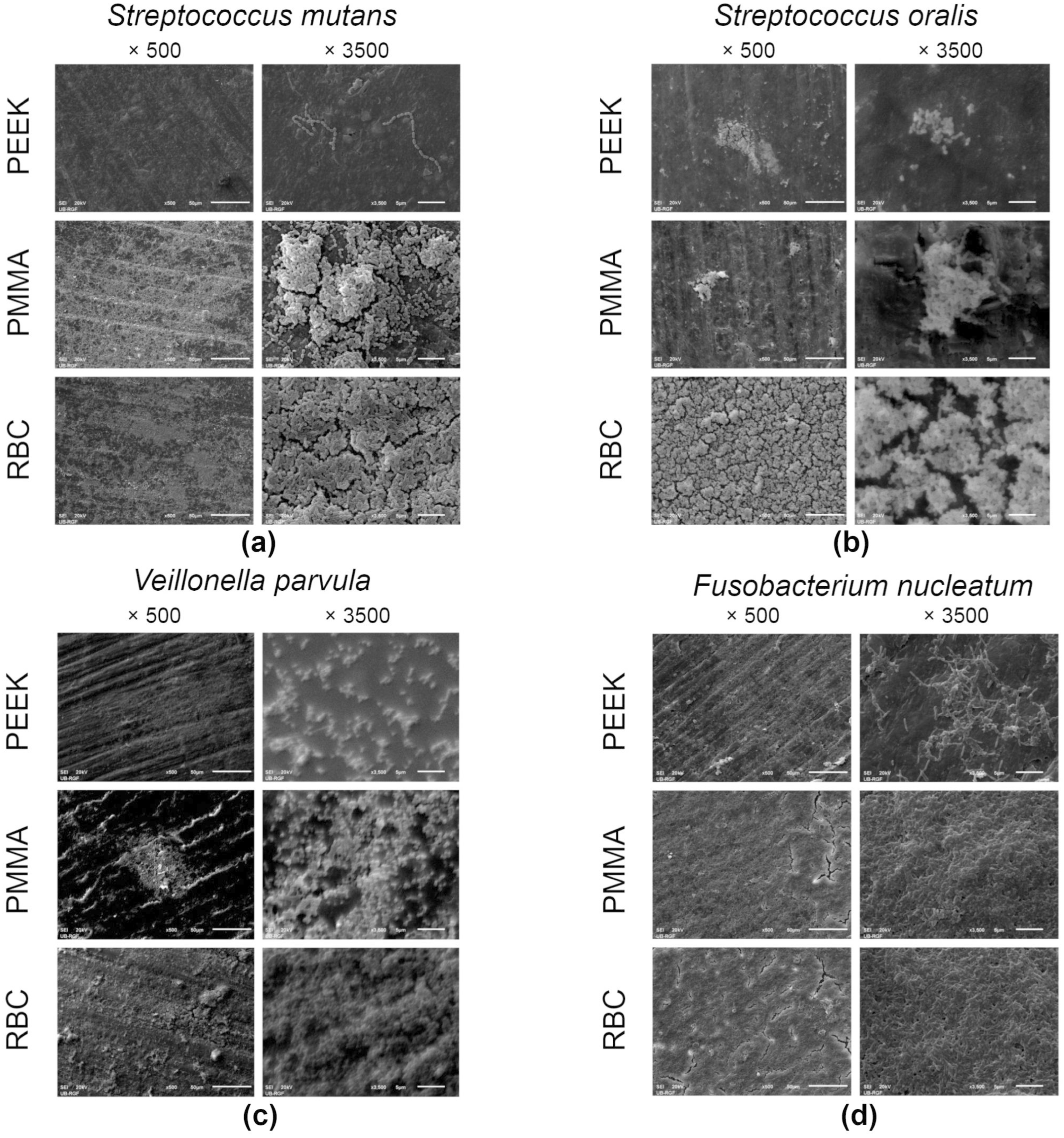 Polymers 15 02140 g004a