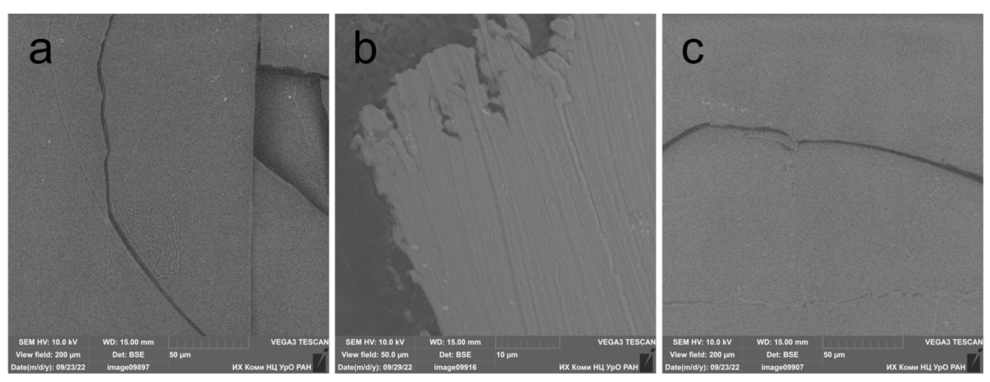 Polymers 15 02141 g002