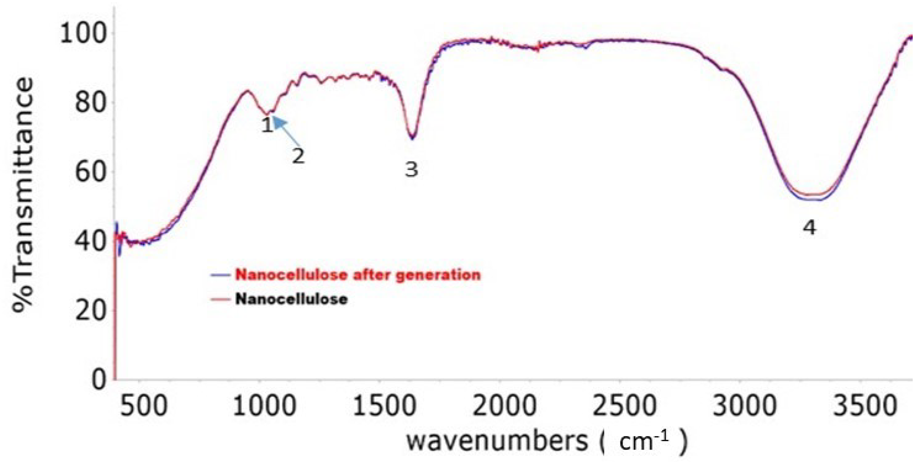 Polymers 15 02143 g005