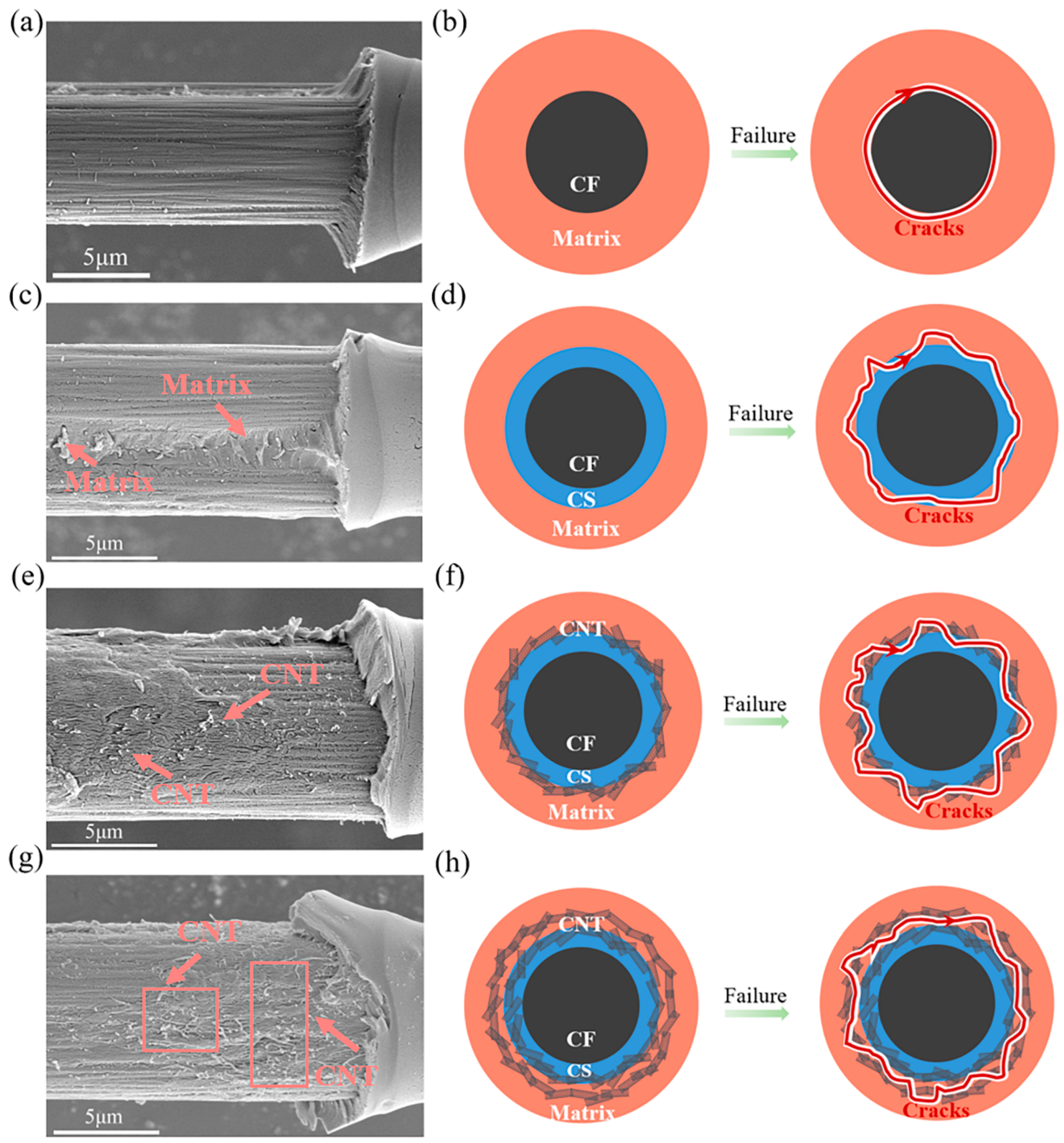 Polymers 15 02147 g006