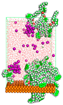 Polymers 15 02155 i045