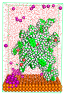 Polymers 15 02155 i046
