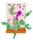 Polymers 15 02155 i049