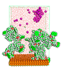 Polymers 15 02155 i055