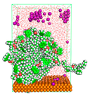 Polymers 15 02155 i056