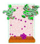 Polymers 15 02155 i063