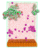 Polymers 15 02155 i073