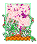 Polymers 15 02155 i076