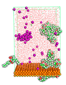 Polymers 15 02155 i079