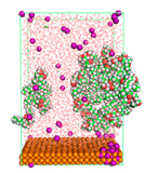 Polymers 15 02155 i086