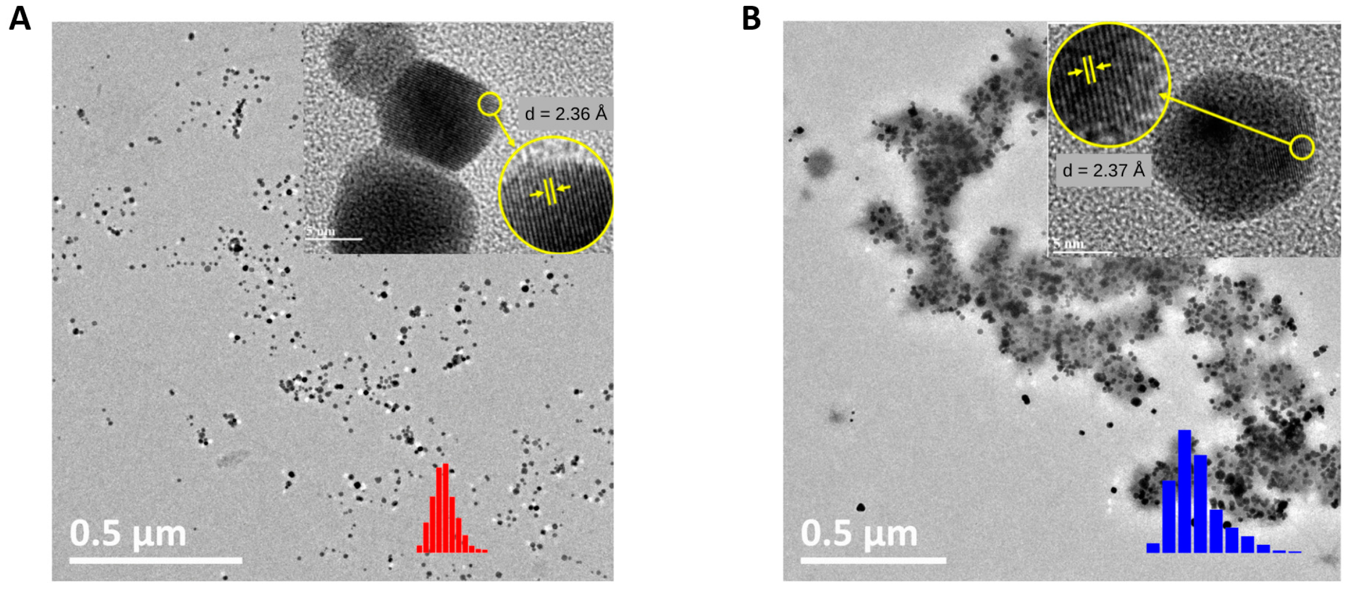 Polymers 15 02163 g003