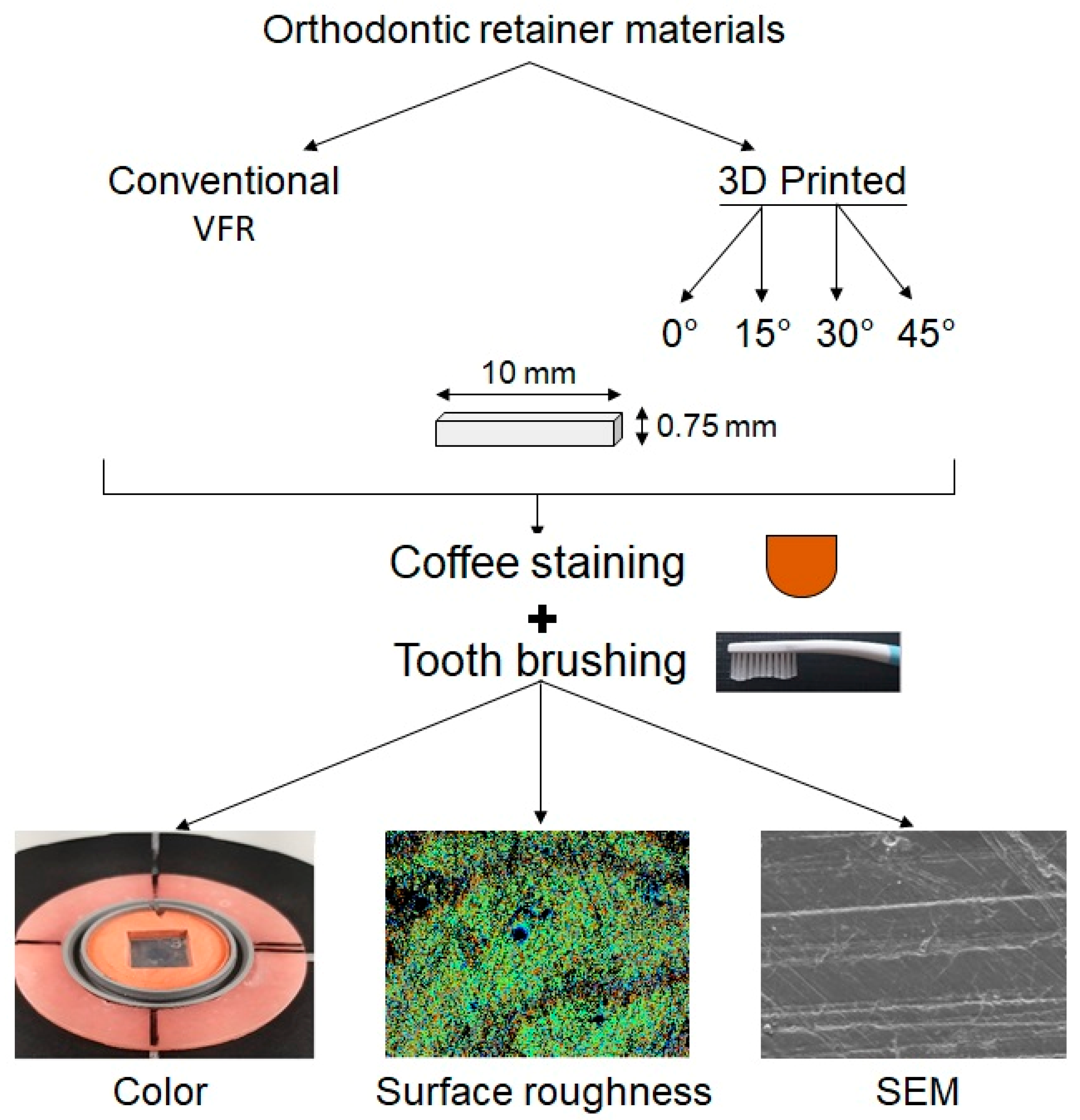 Polymers 15 02164 g002