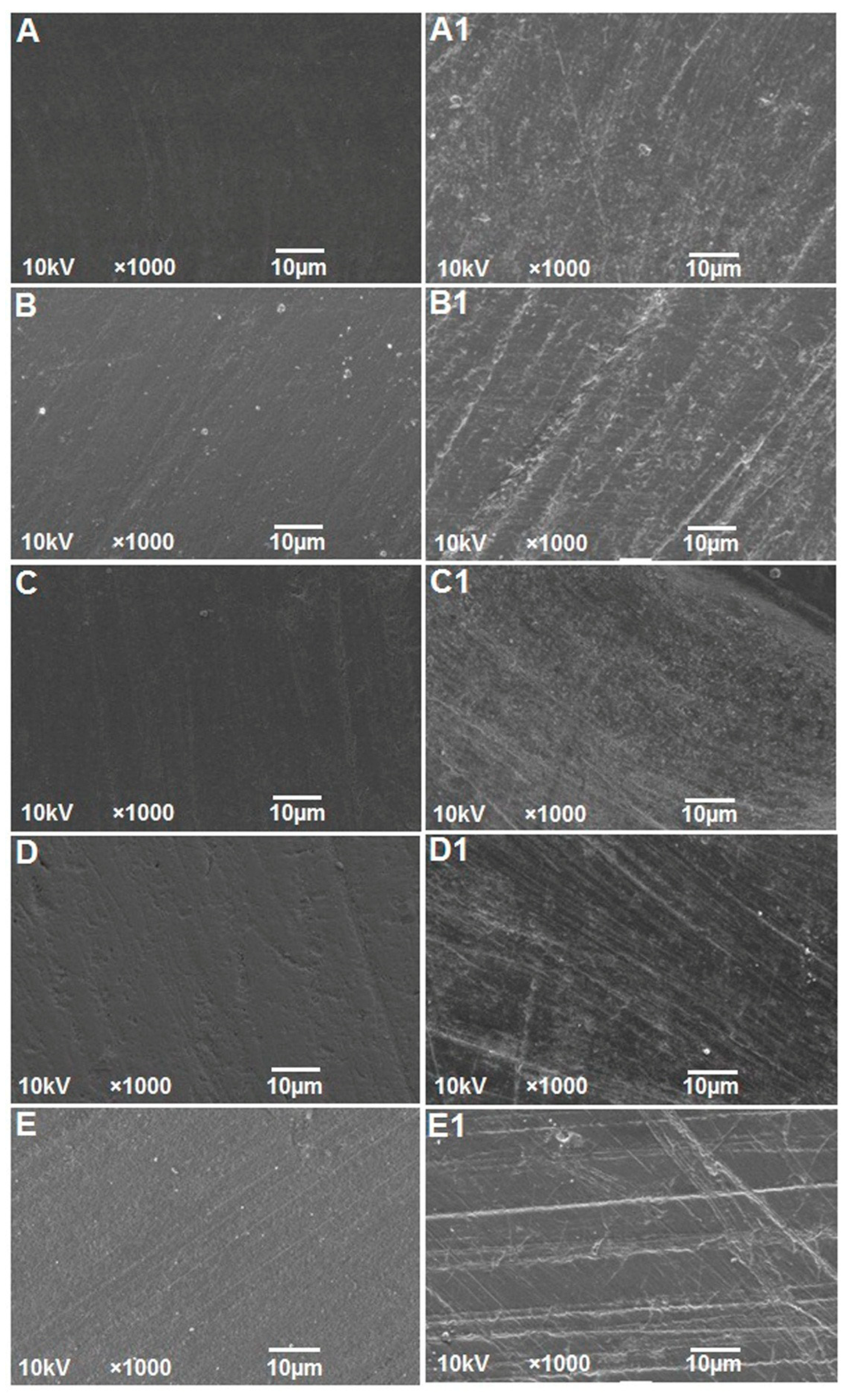 Polymers 15 02164 g007