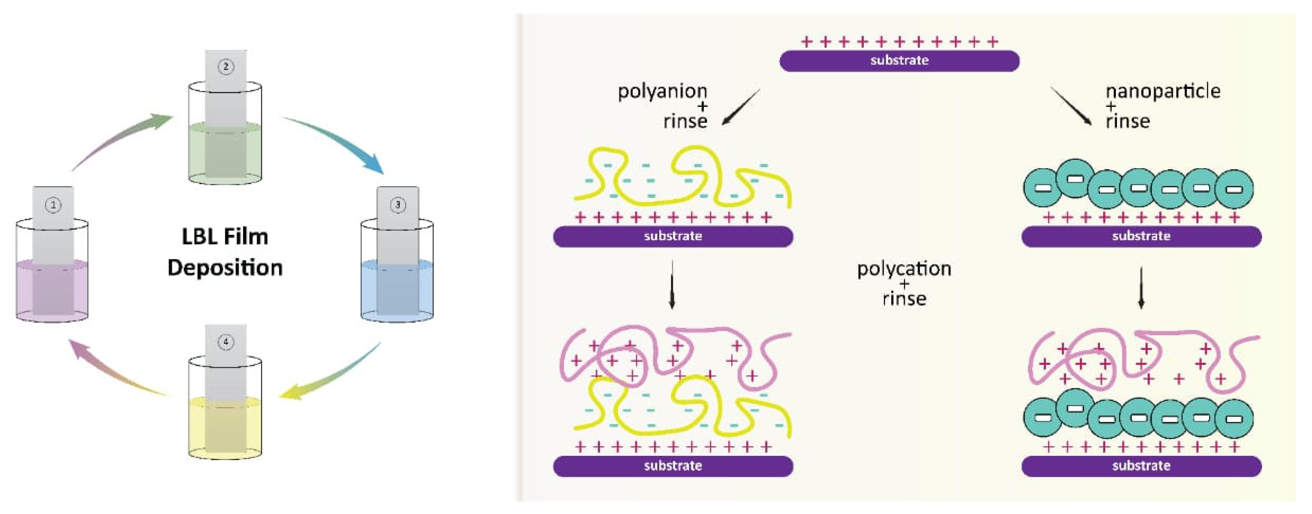 Polymers 15 02167 g005