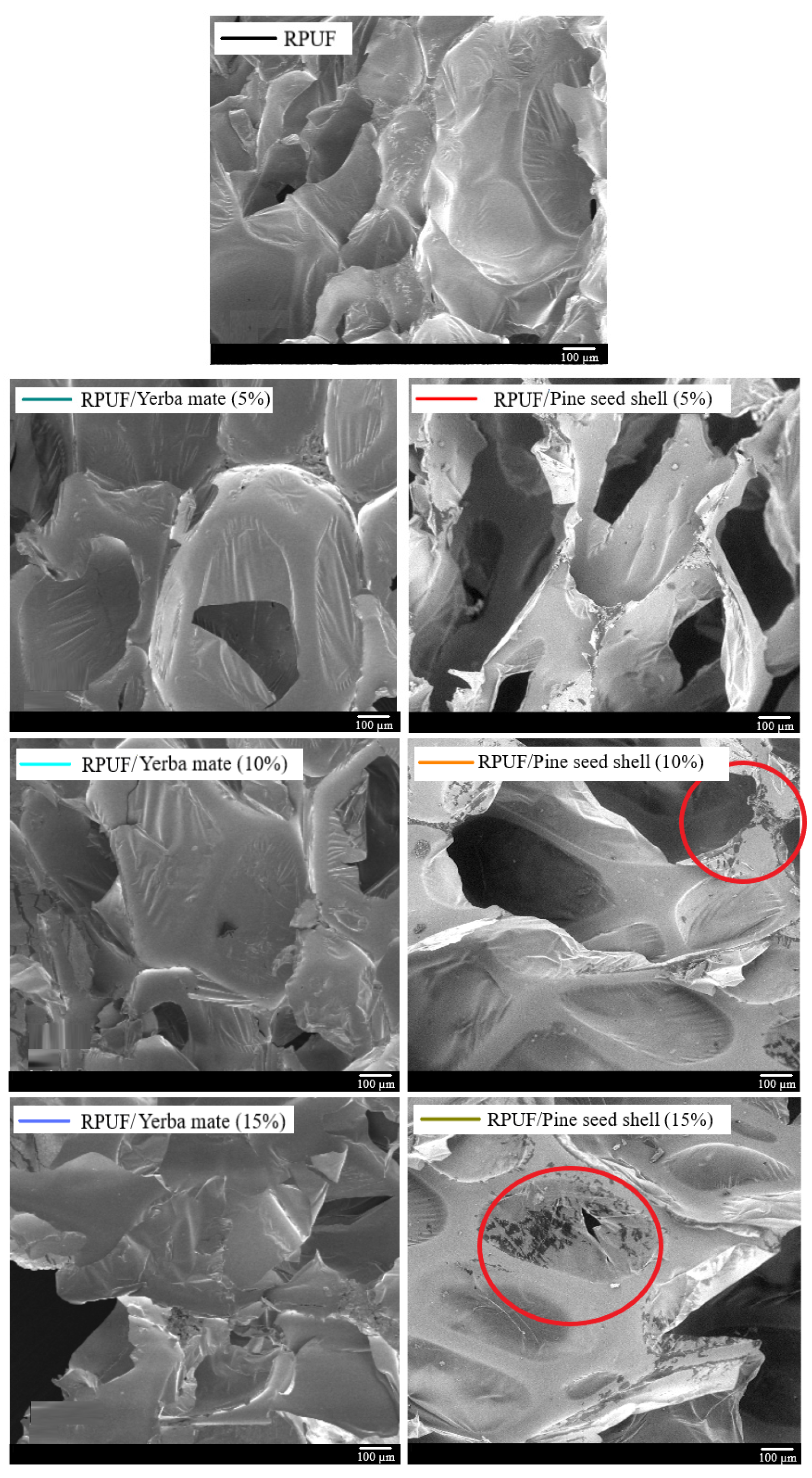 Polymers 15 02194 g004