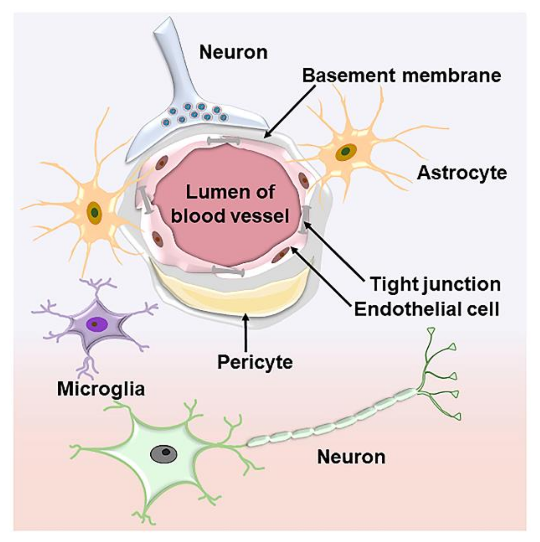 Polymers 15 02196 g001