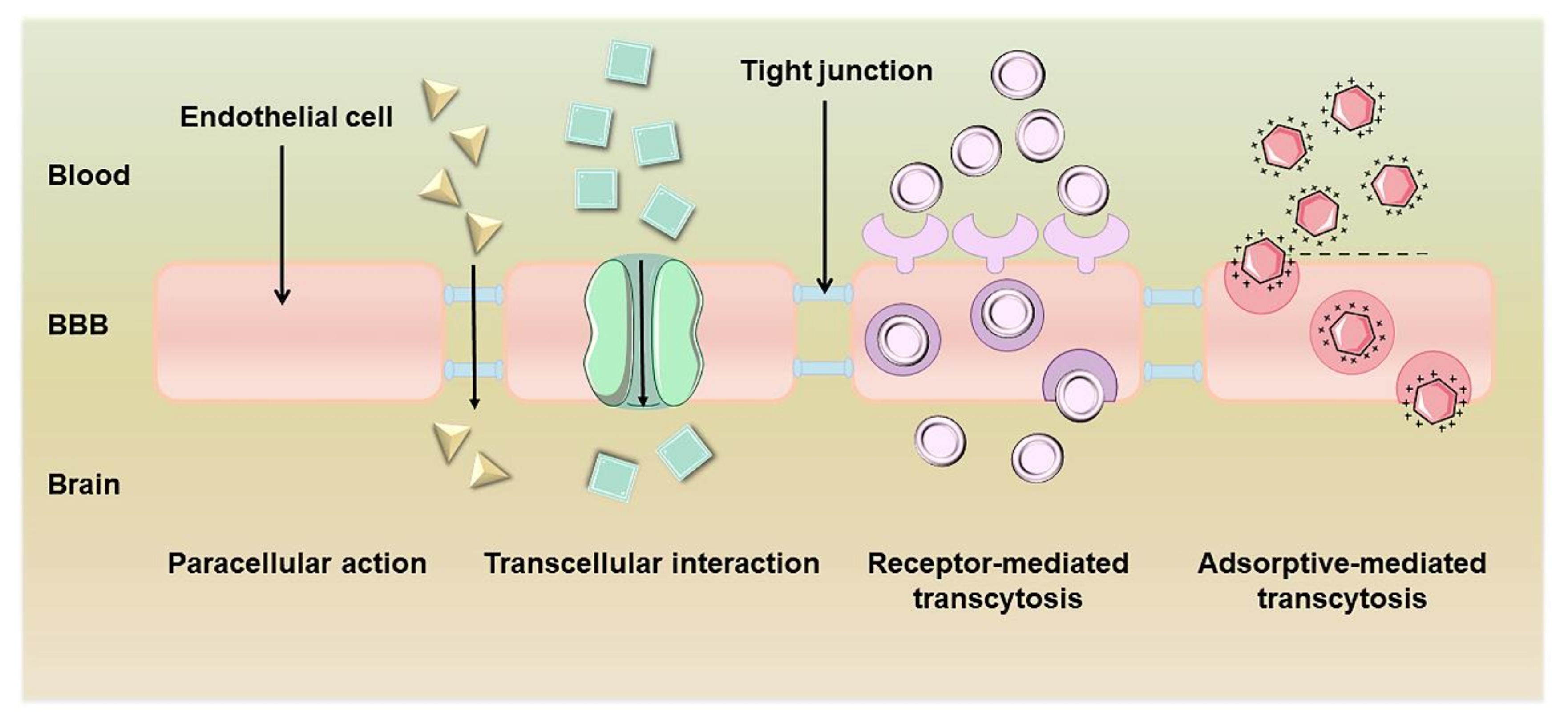 Polymers 15 02196 g002