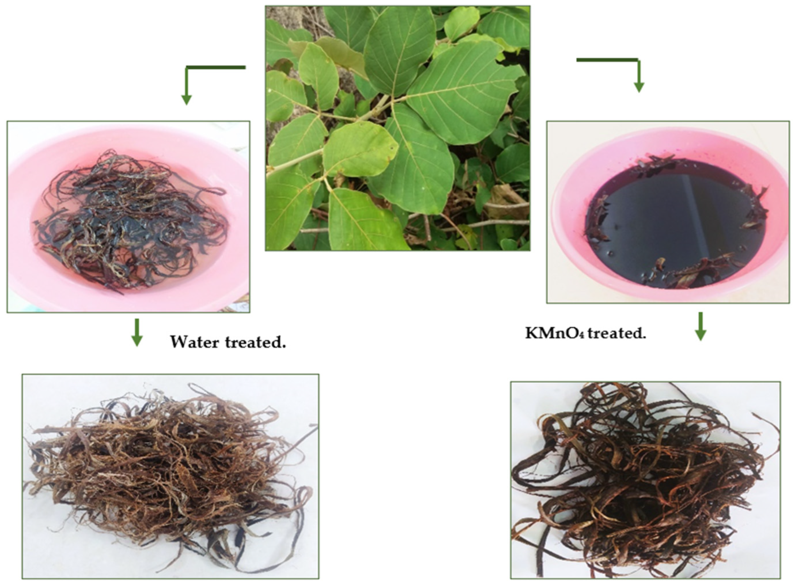 Polymers 15 02197 g001 Polymers 15 02197 g001