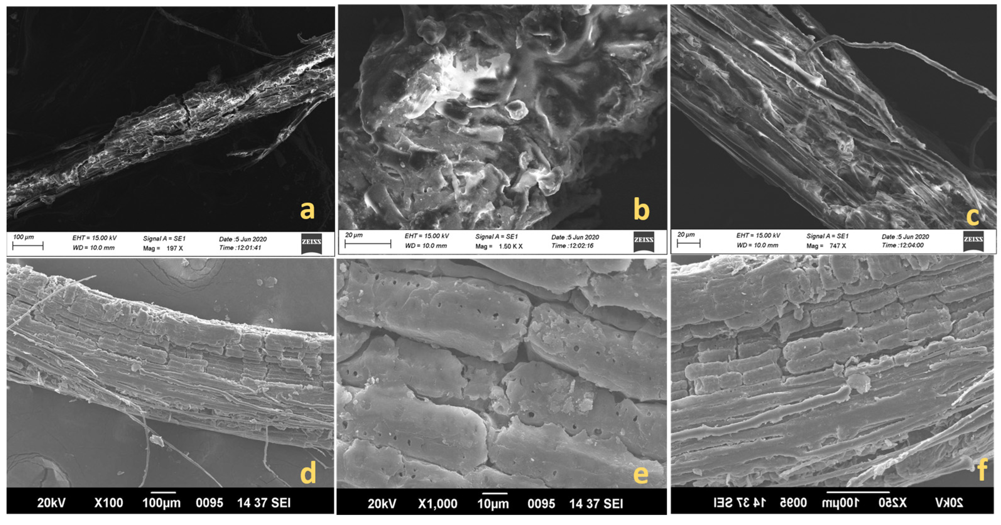 Polymers 15 02197 g007 Polymers 15 02197 g007