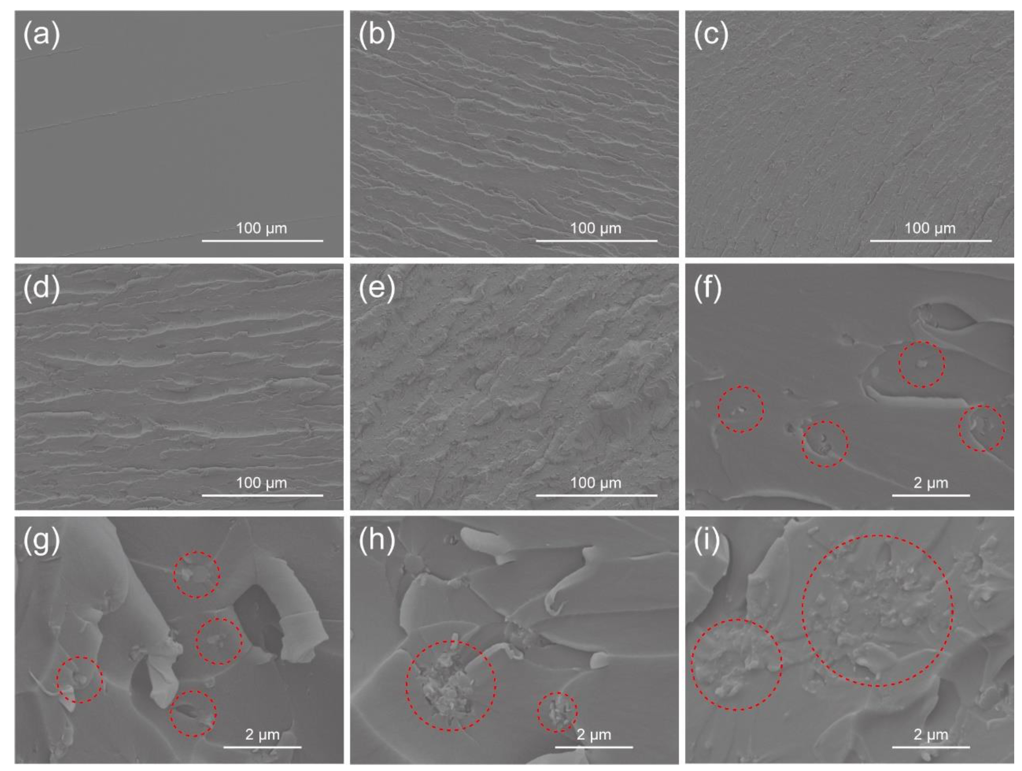 Polymers 15 02198 g003