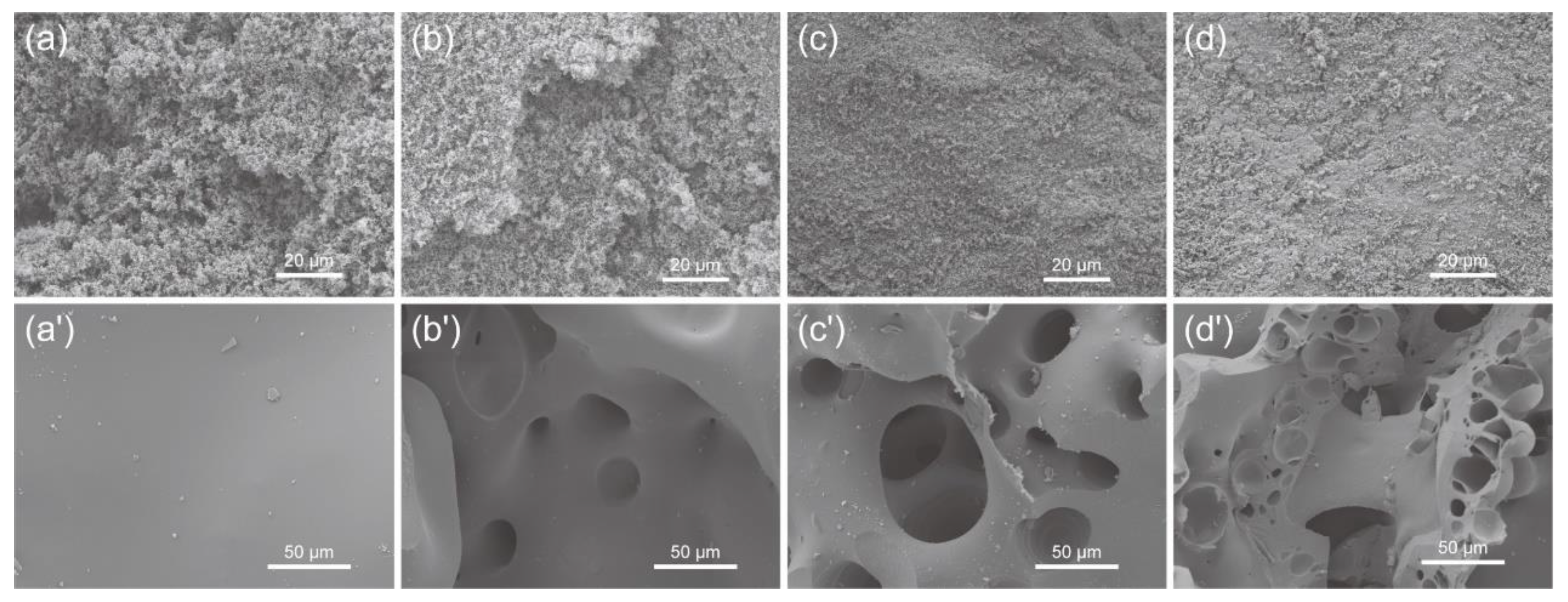 Polymers 15 02198 g012