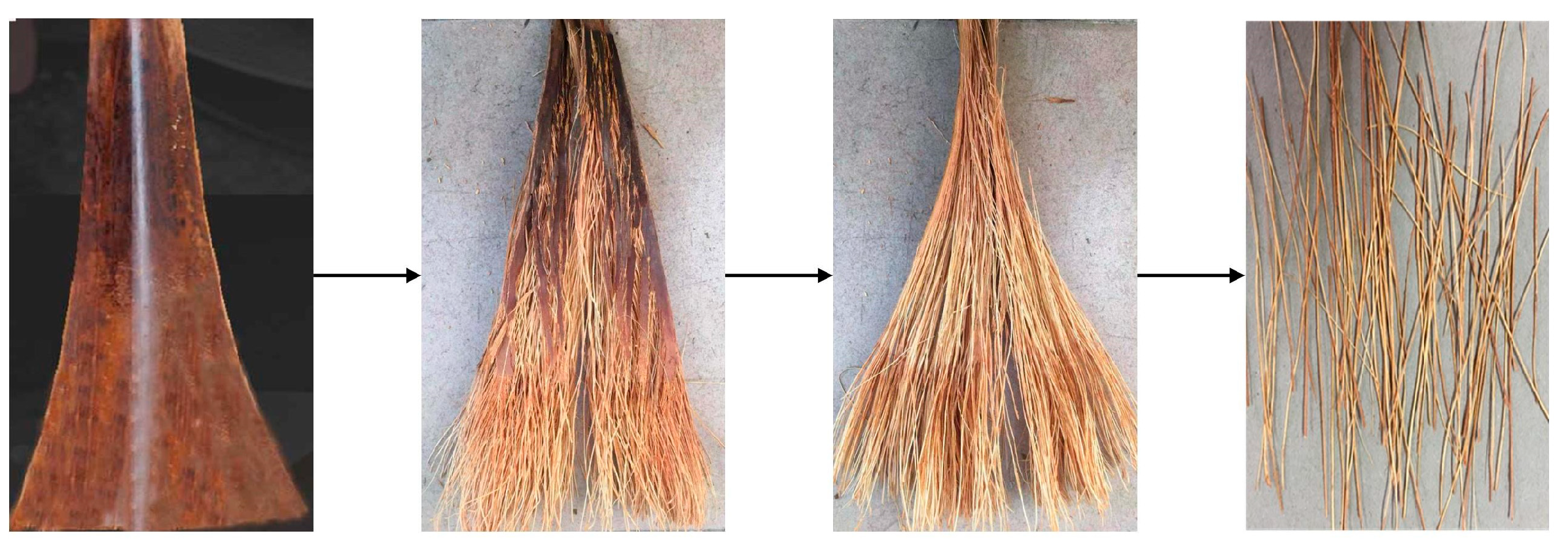 Polymers 15 02200 g001