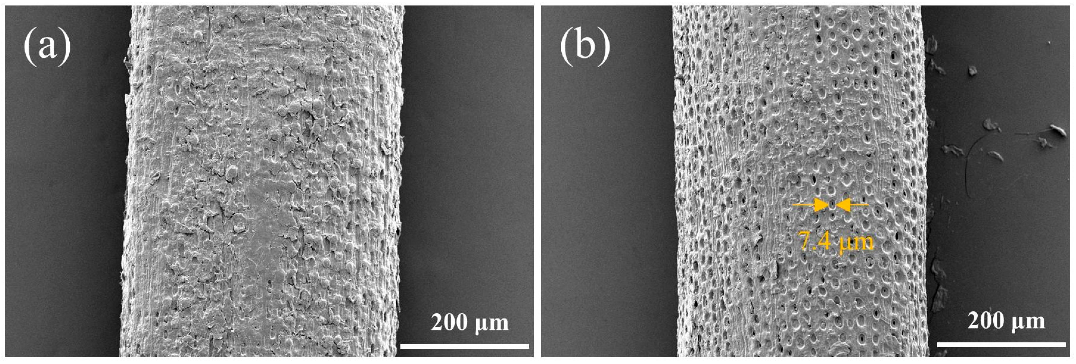 Polymers 15 02200 g003