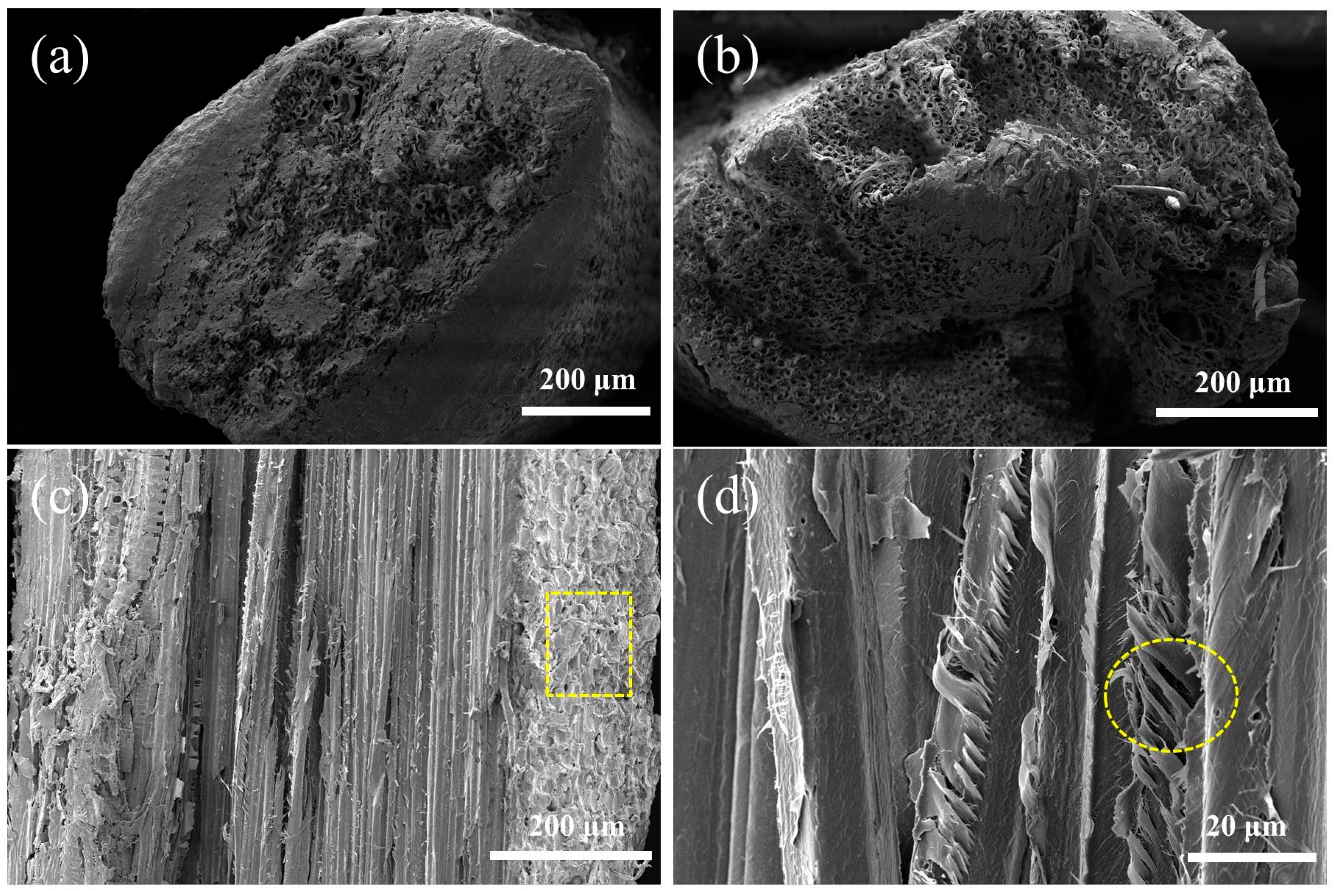 Polymers 15 02200 g004