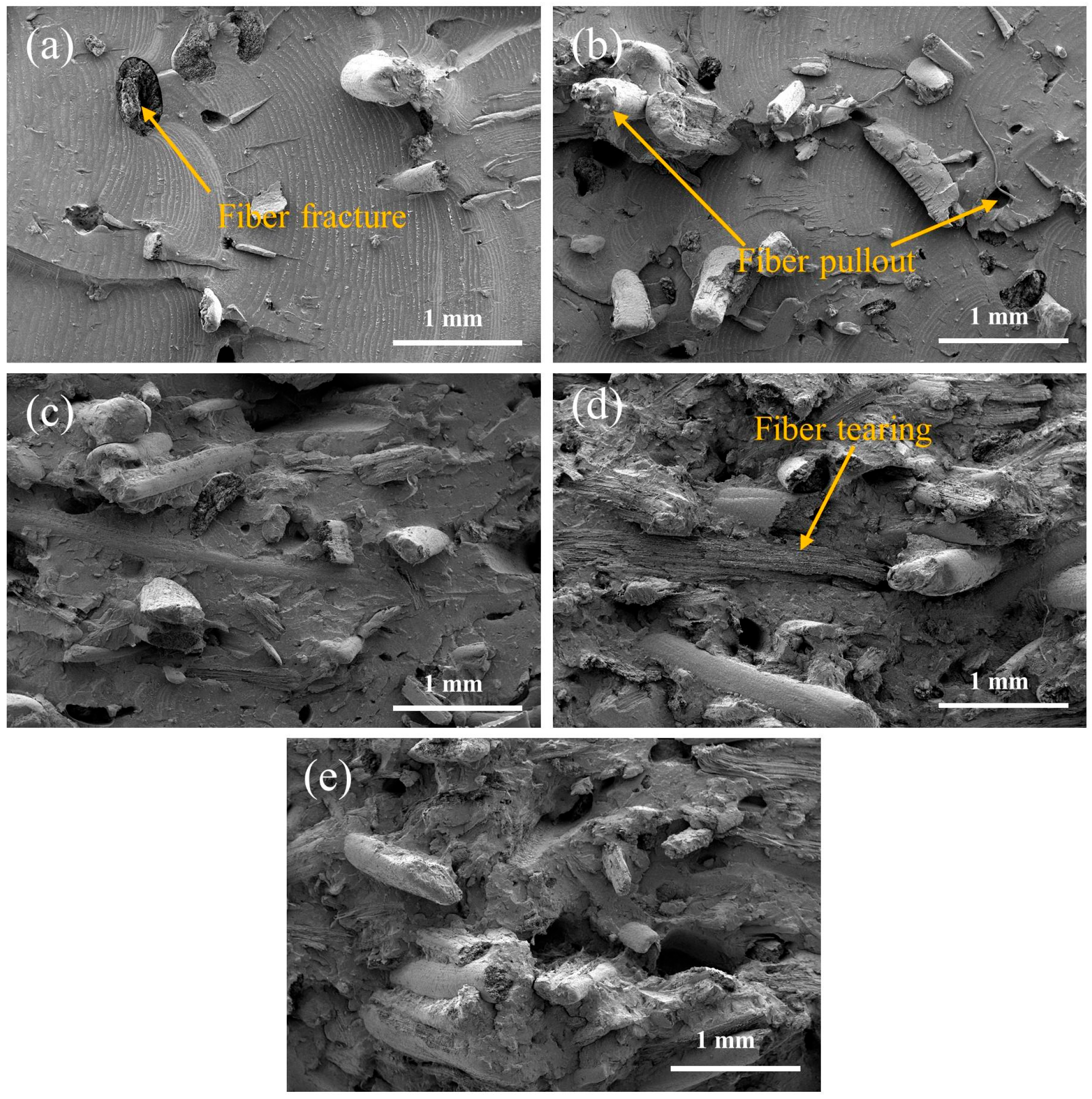 Polymers 15 02200 g007