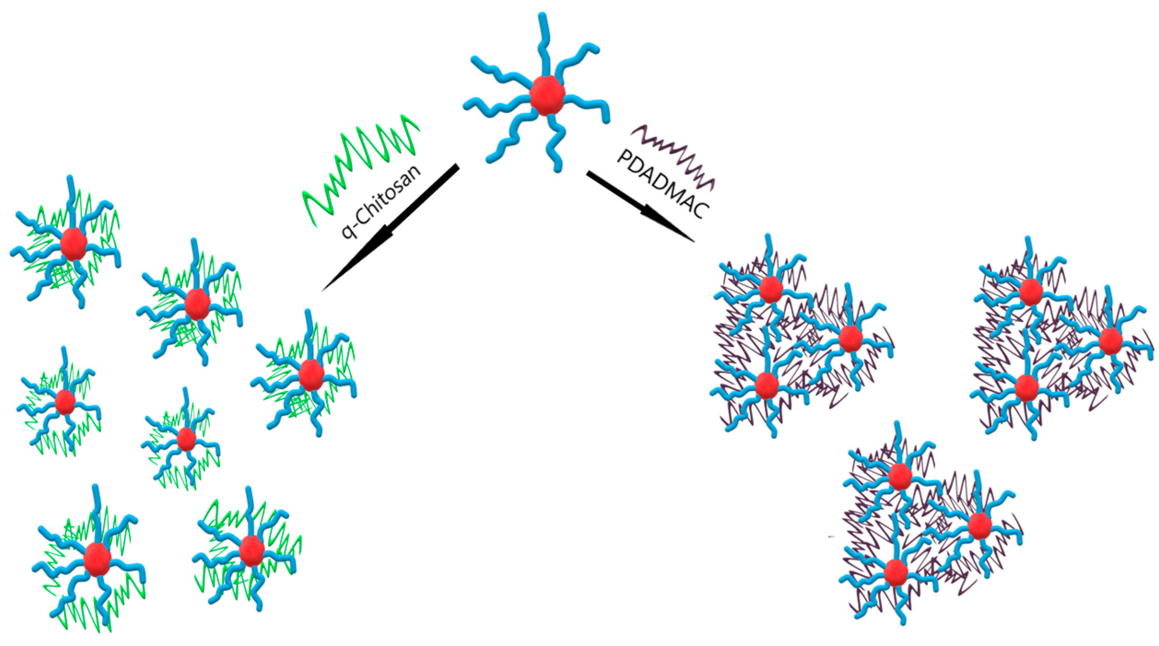 Polymers 15 02204 g008