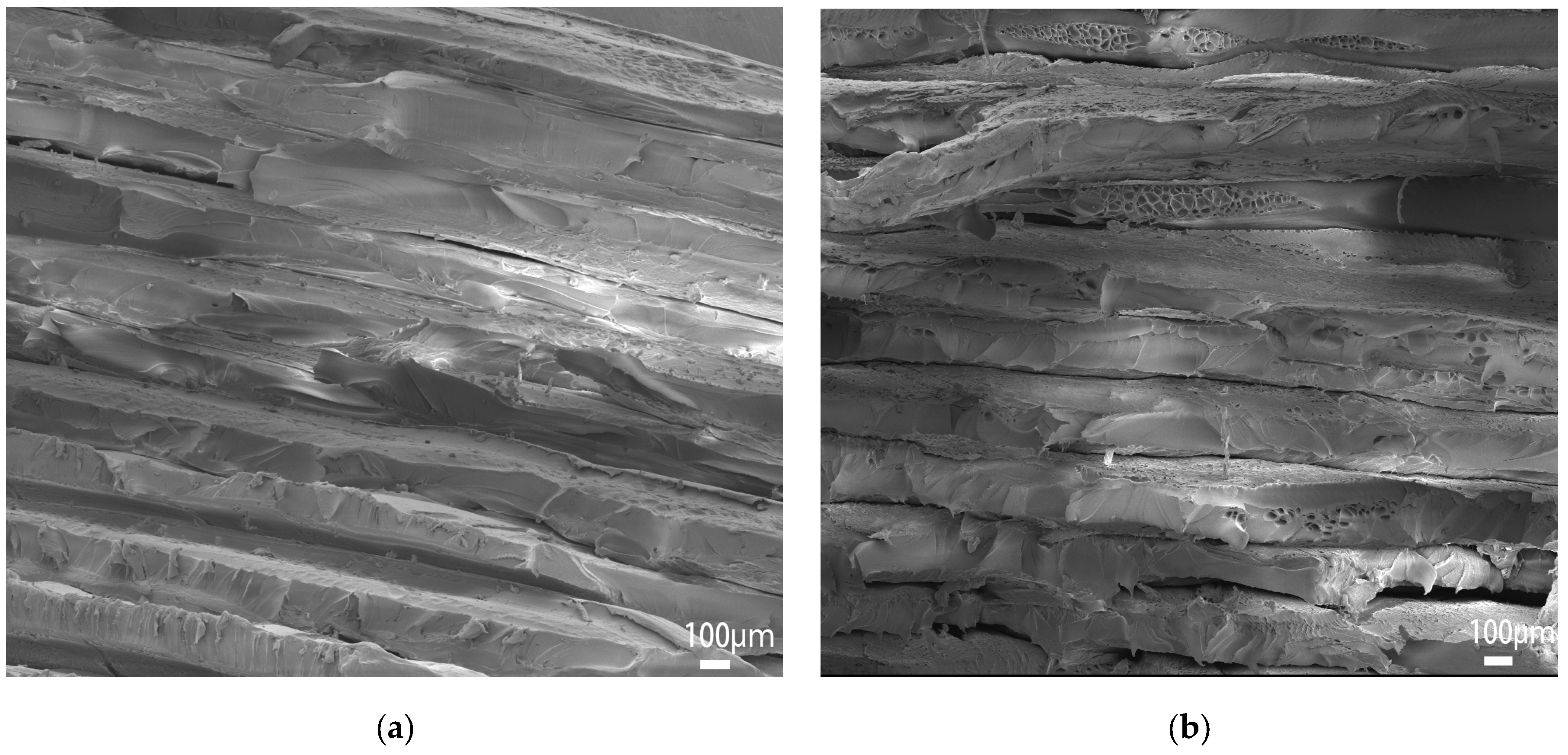 Polymers 15 02209 g011a