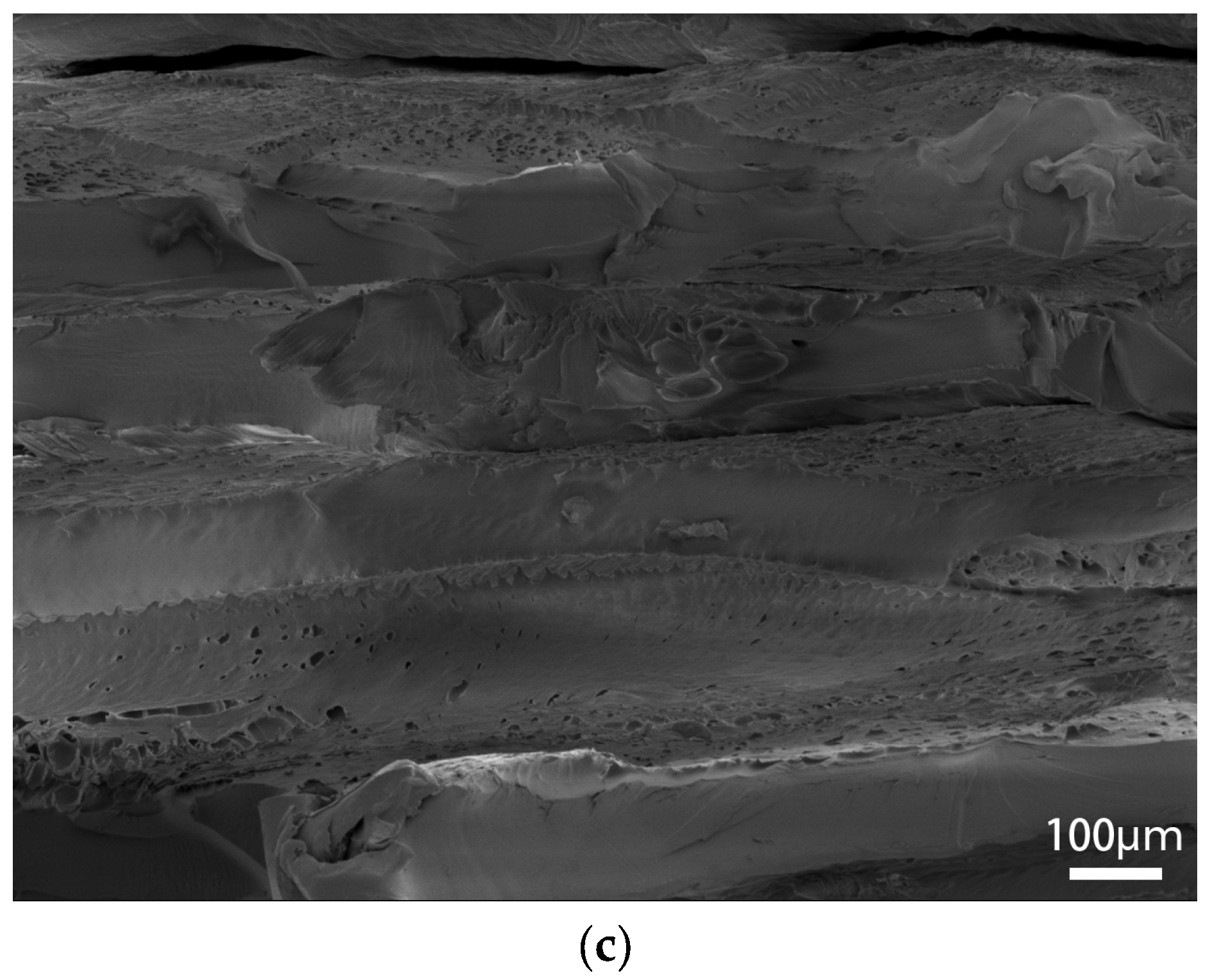 Polymers 15 02209 g011b