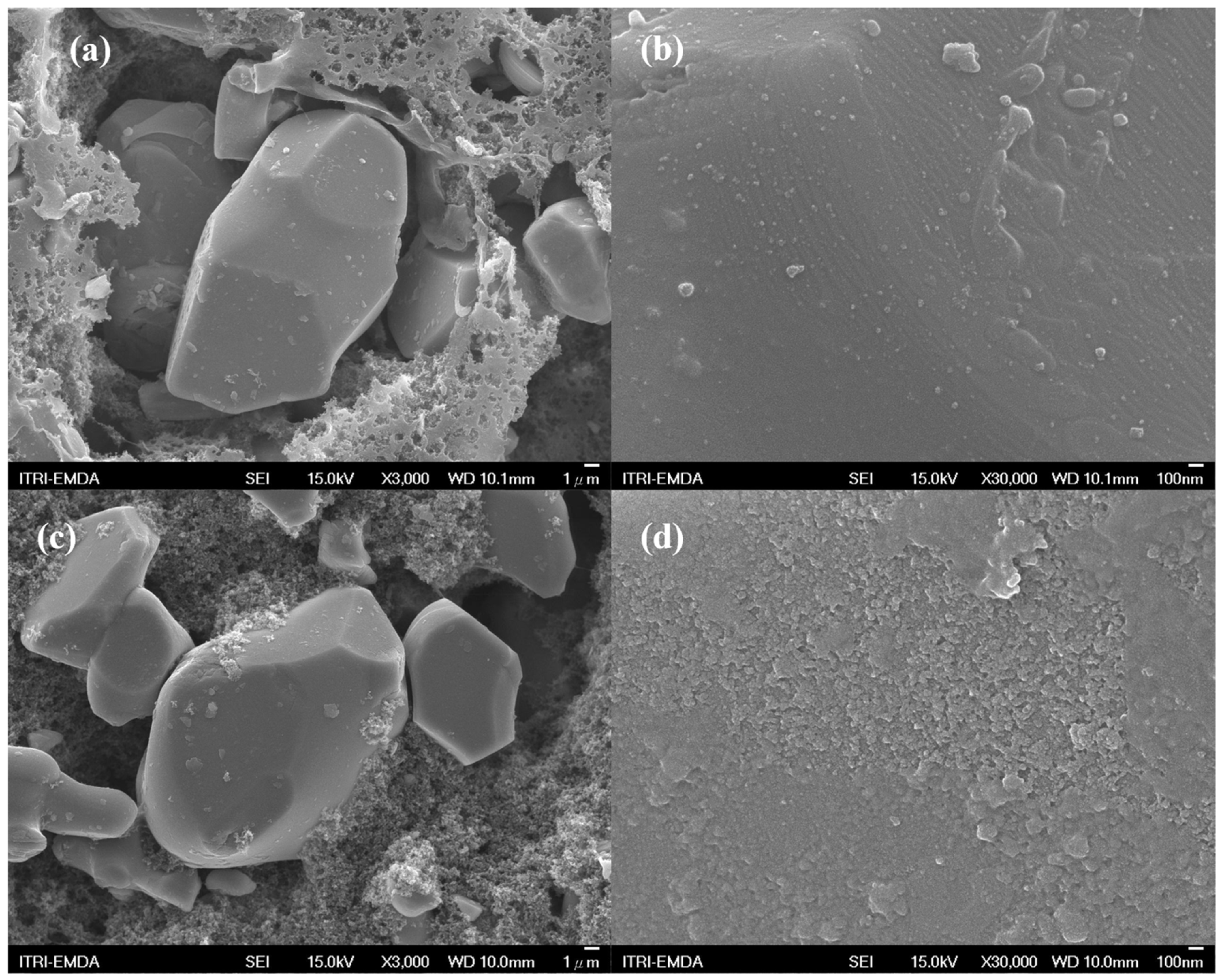 Polymers 15 02211 g004