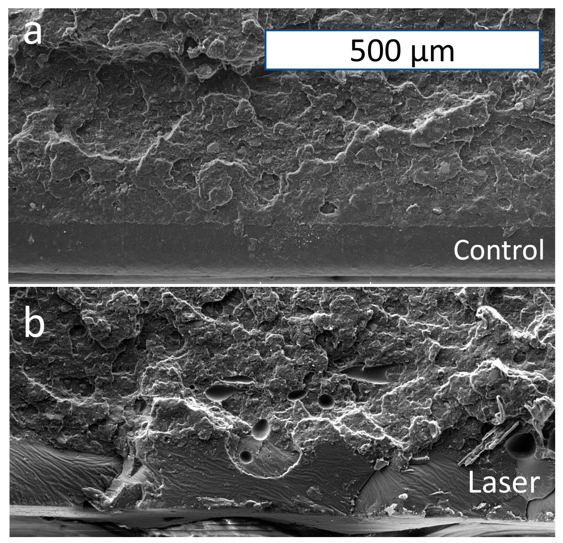 Polymers 15 02221 g008