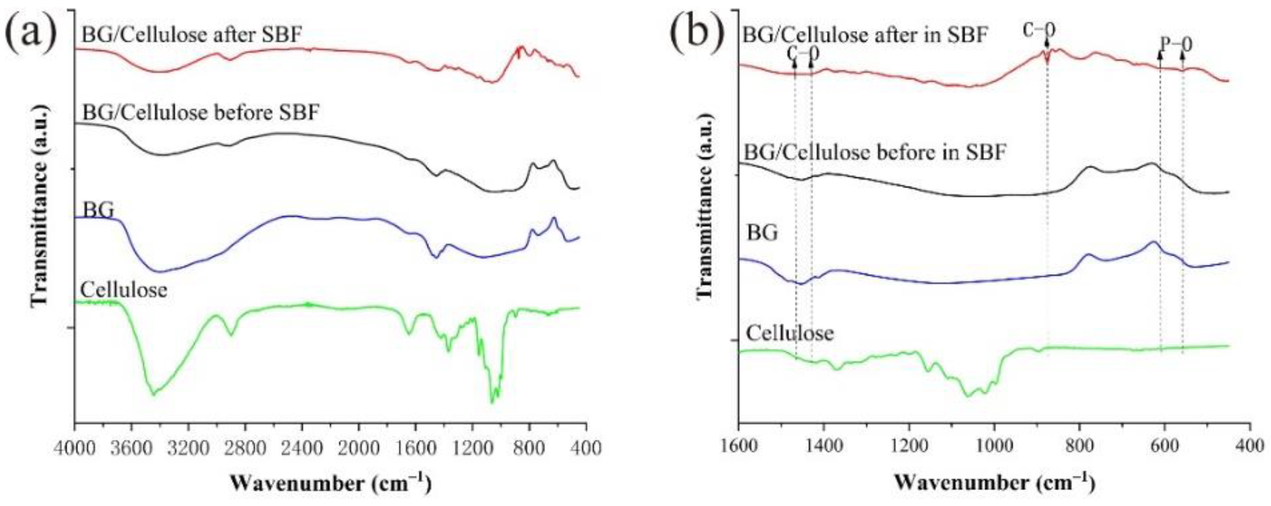 Polymers 15 02226 g003