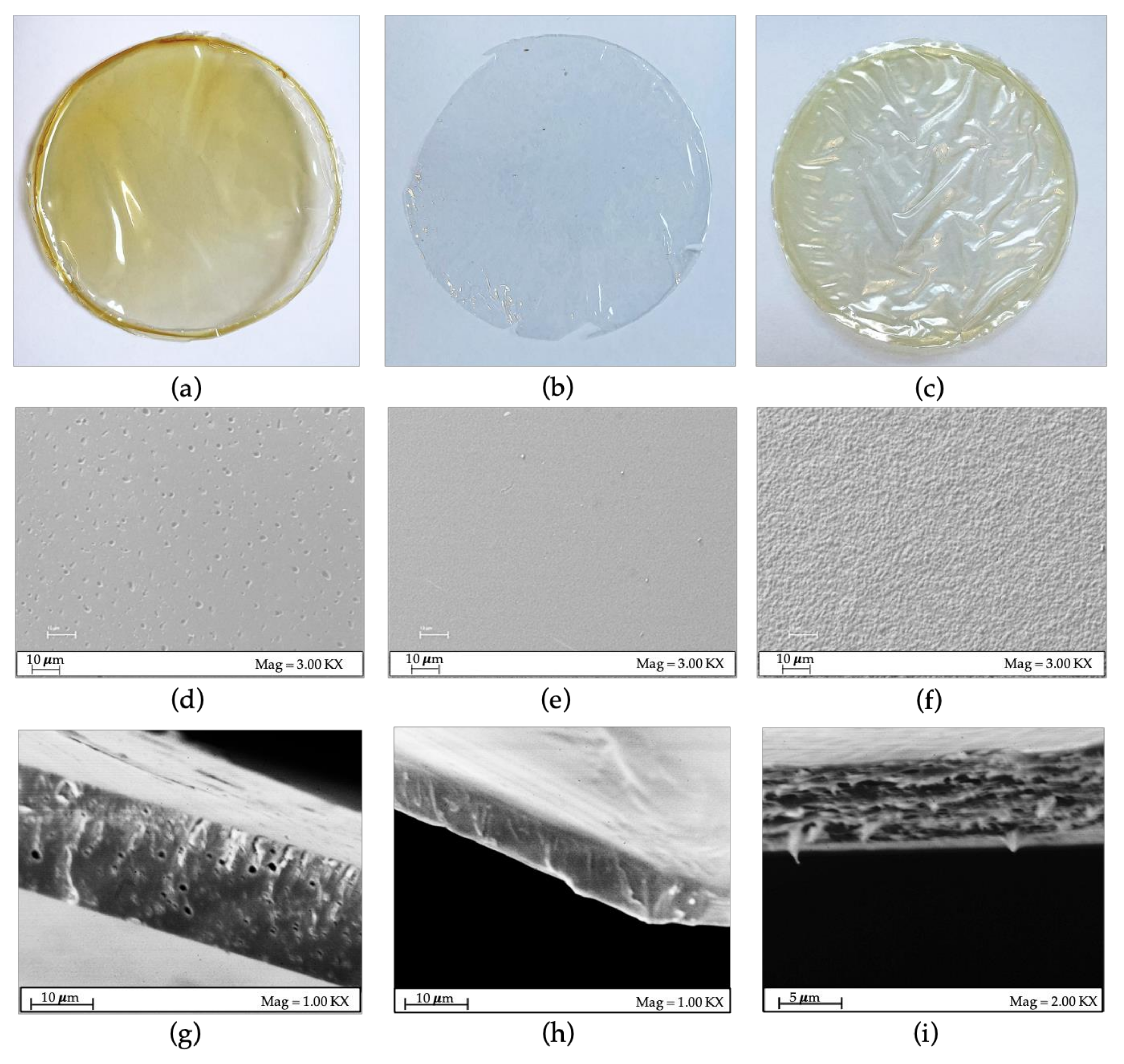 Polymers 15 02231 g002 Polymers 15 02231 g002