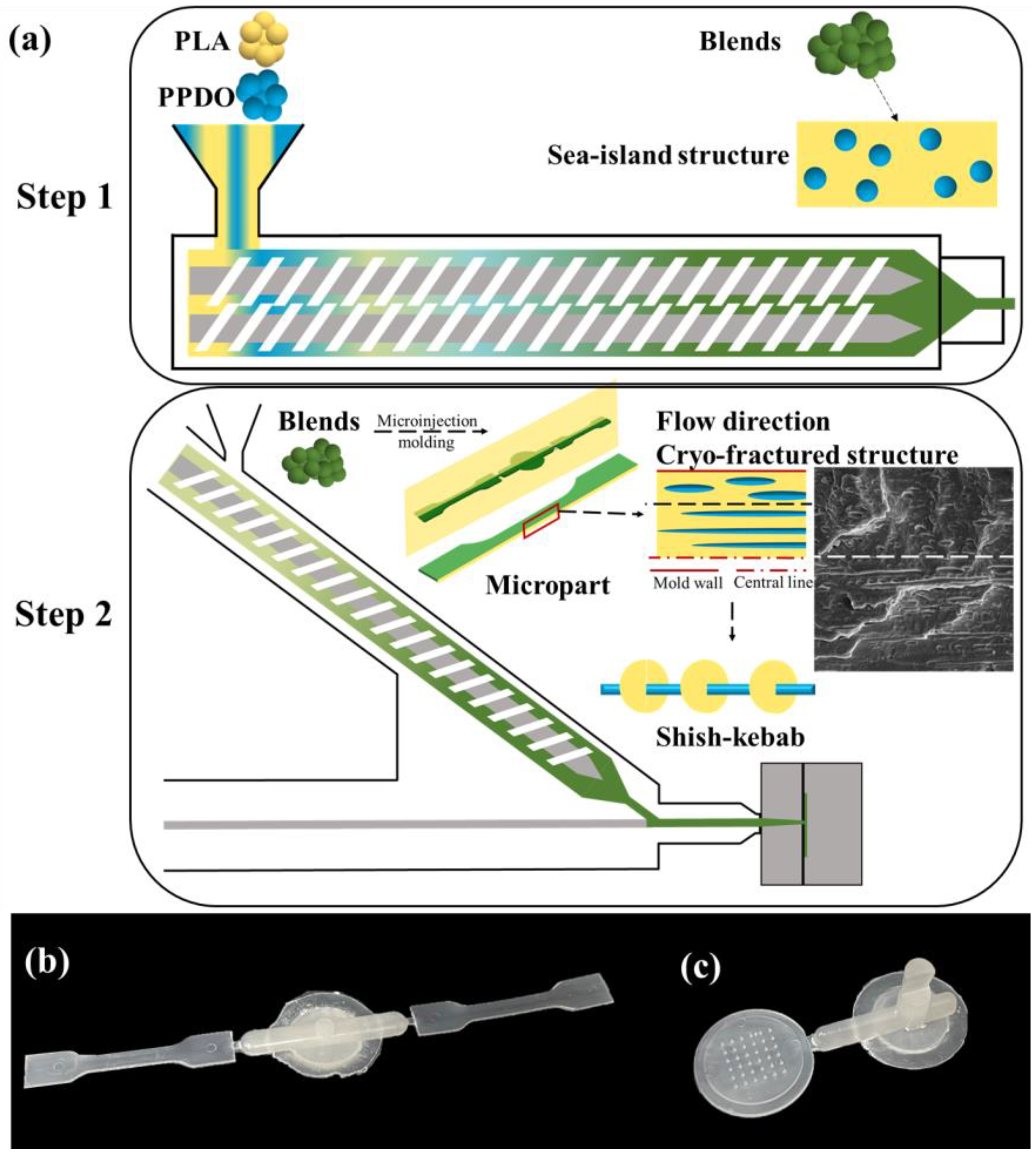 Polymers 15 02234 g001
