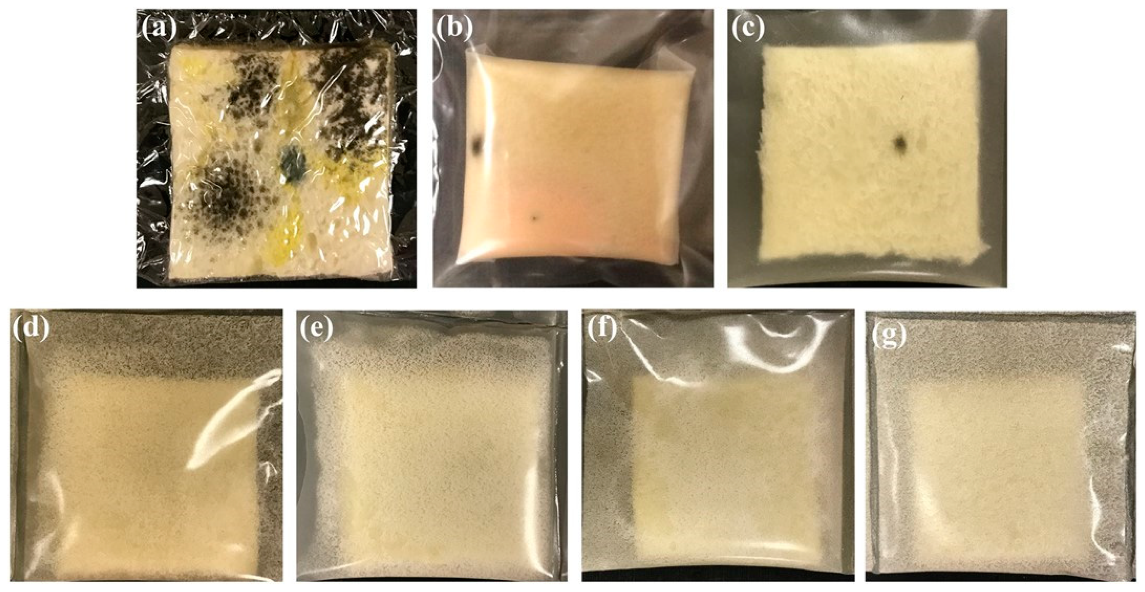 Polymers 15 02235 g002