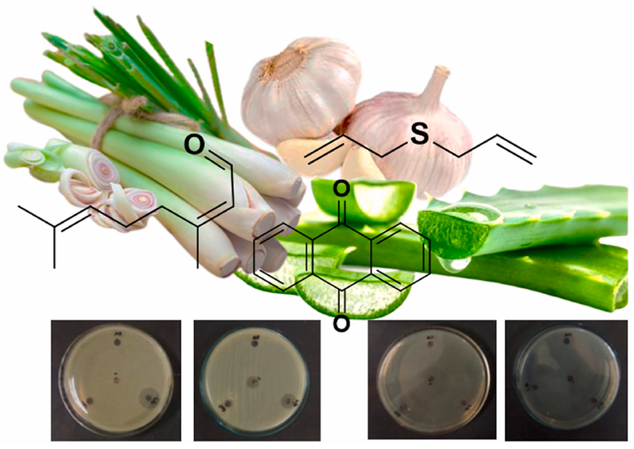 Polymers 15 02235 g003
