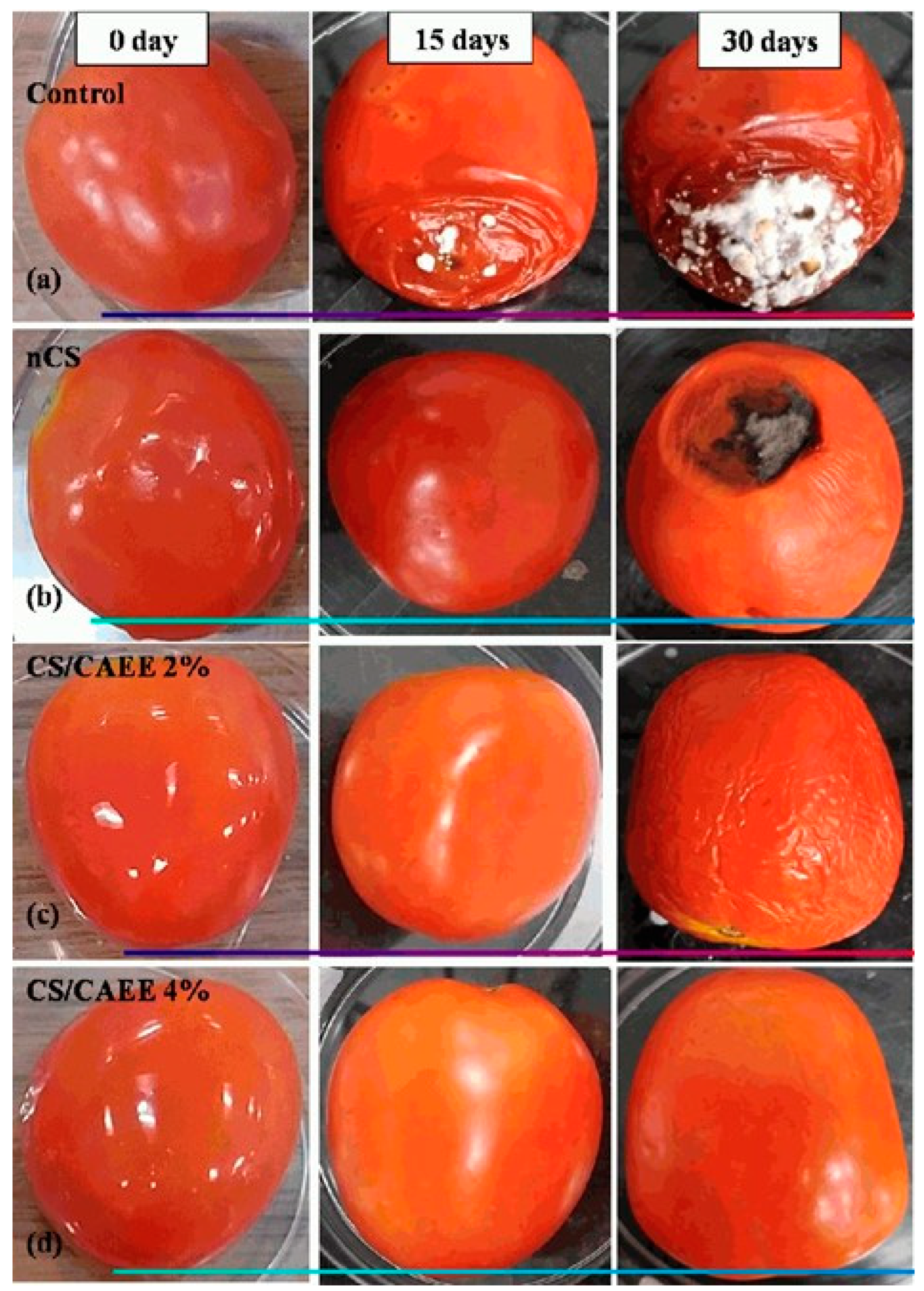 Polymers 15 02235 g004