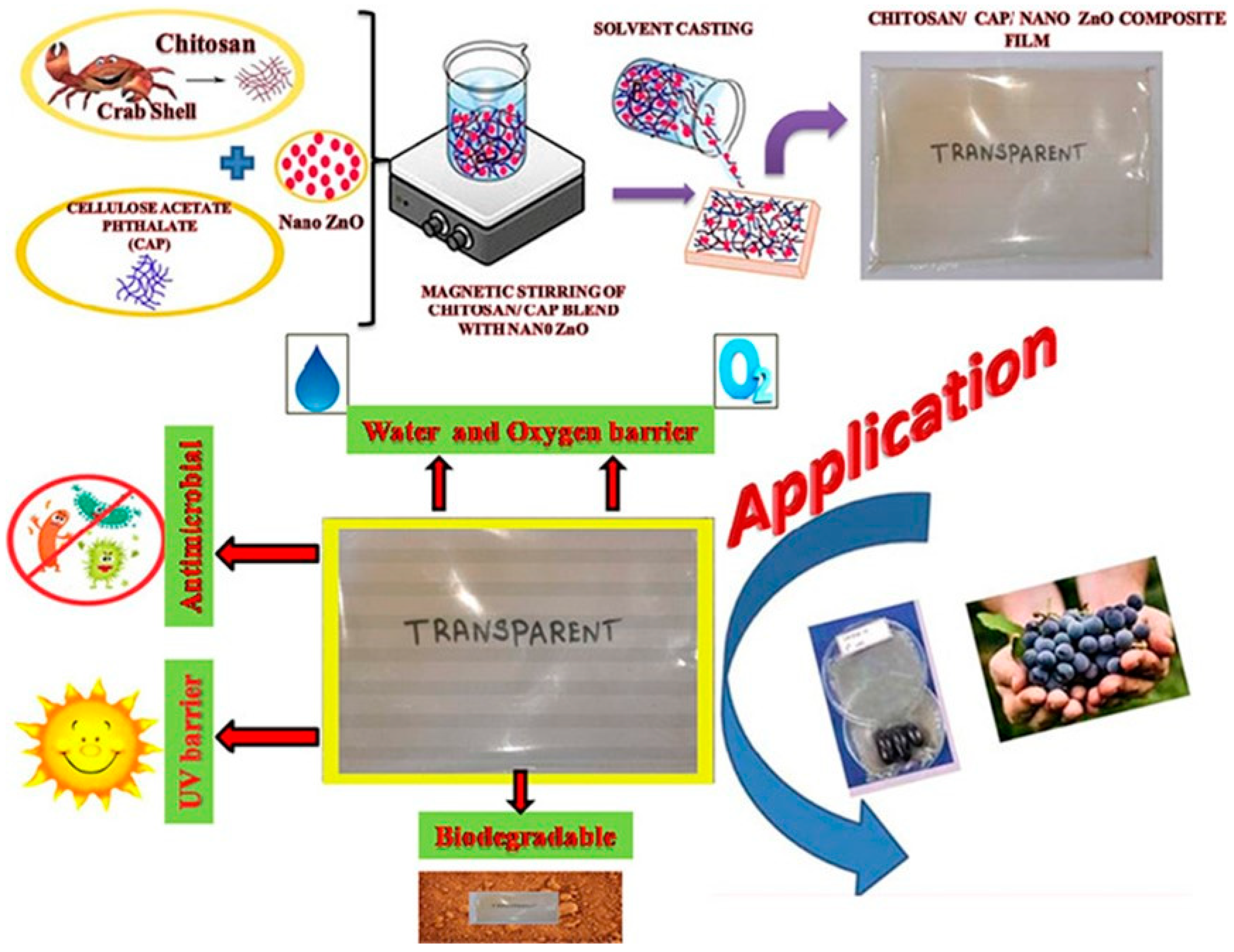 Polymers 15 02235 g007
