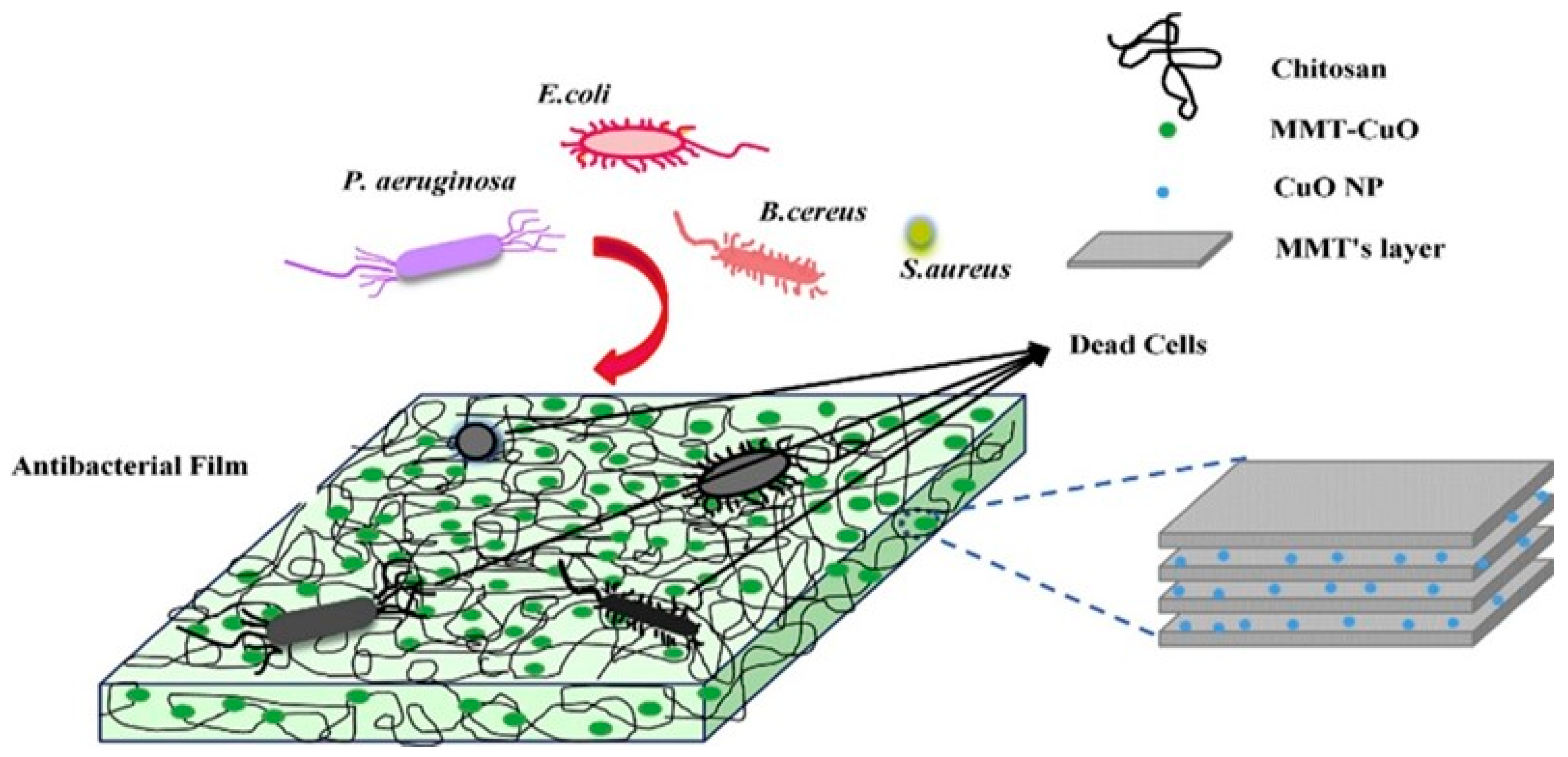 Polymers 15 02235 g008