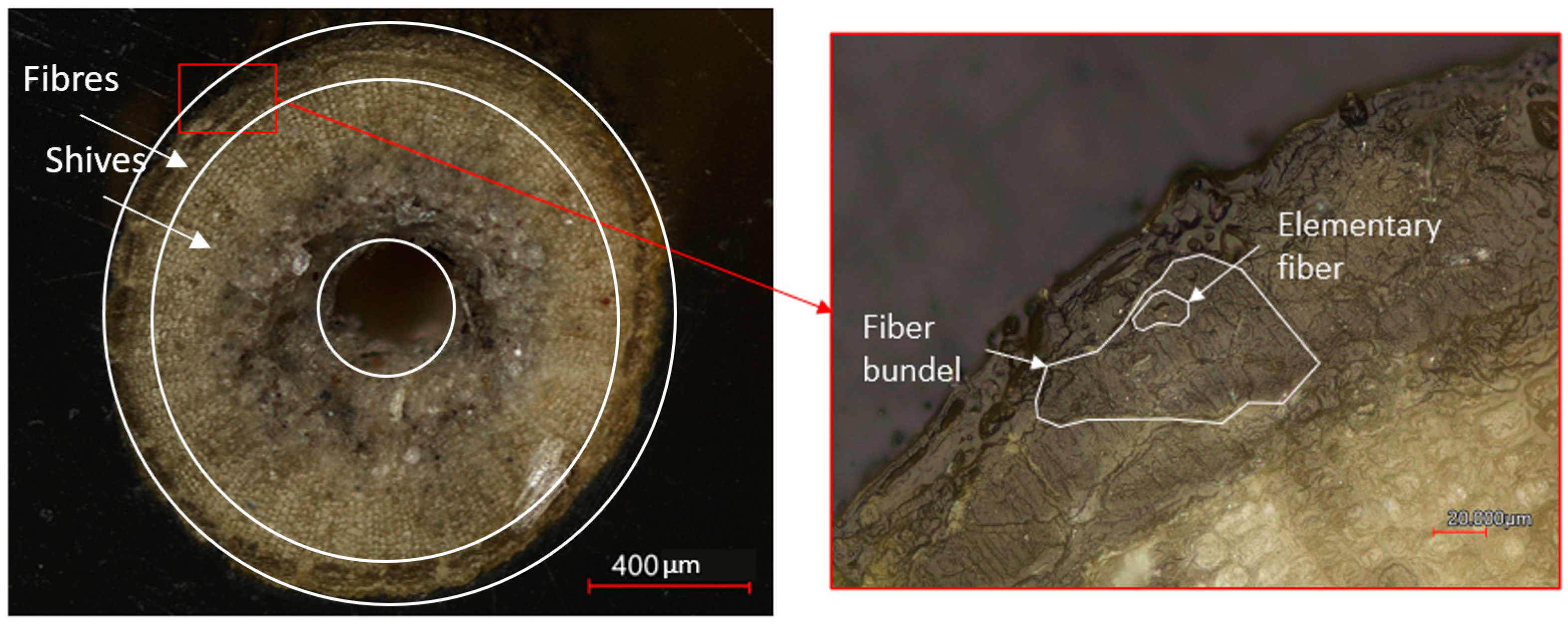 Polymers 15 02239 g005 Polymers 15 02239 g005