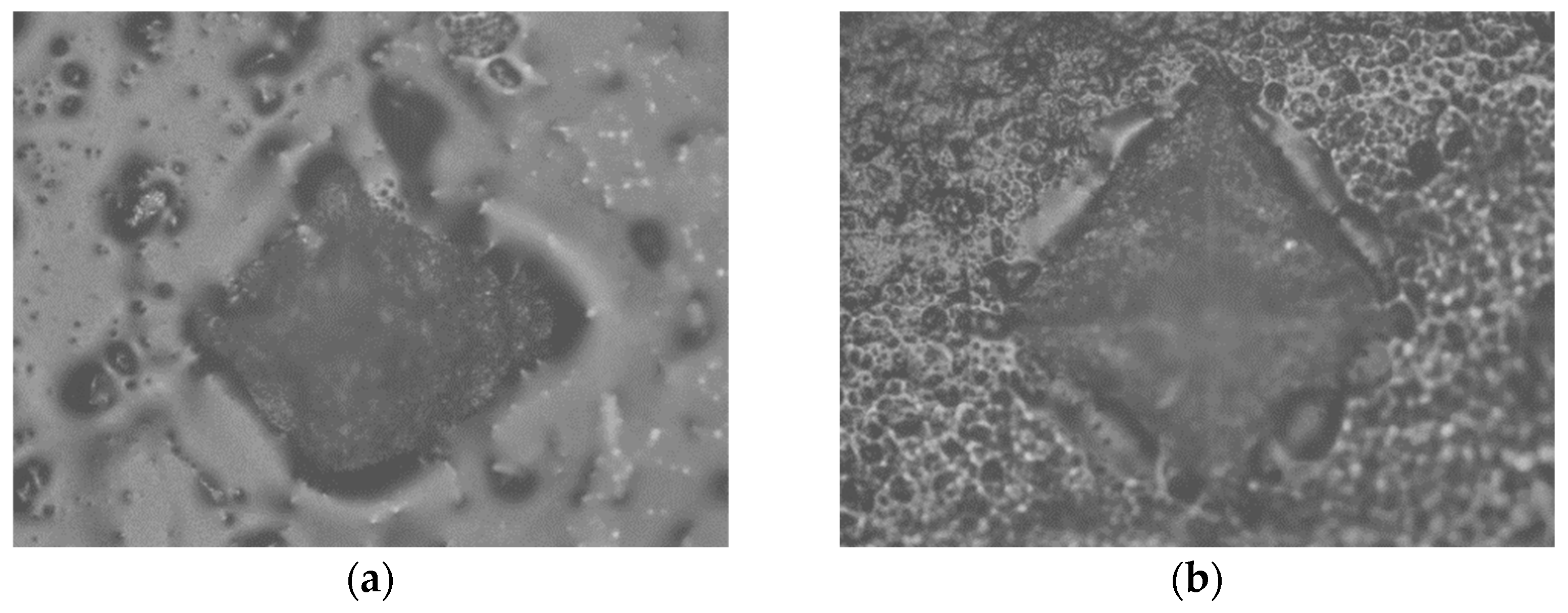 Polymers 15 02250 g004 Polymers 15 02250 g004