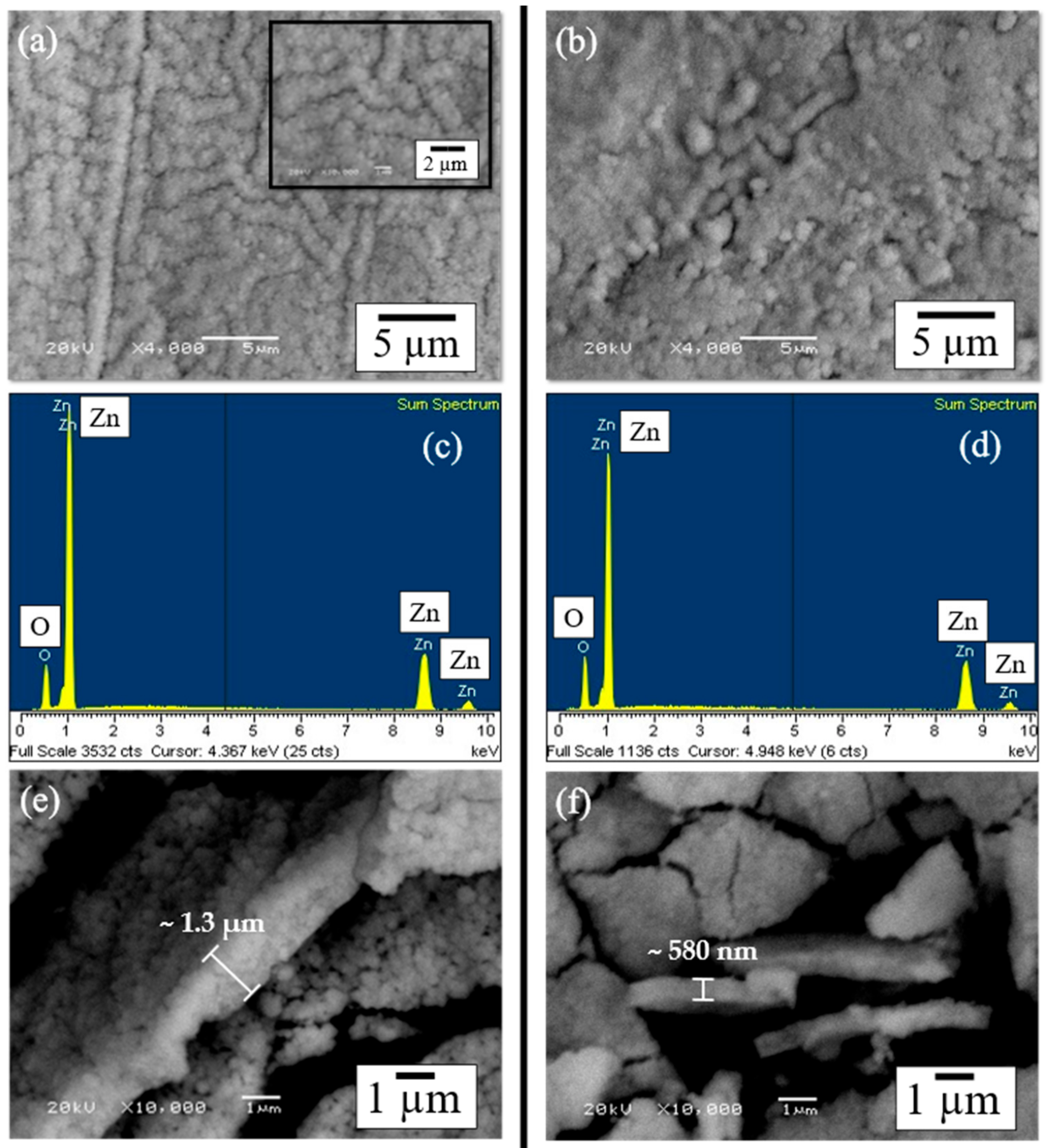 Polymers 15 02283 g004