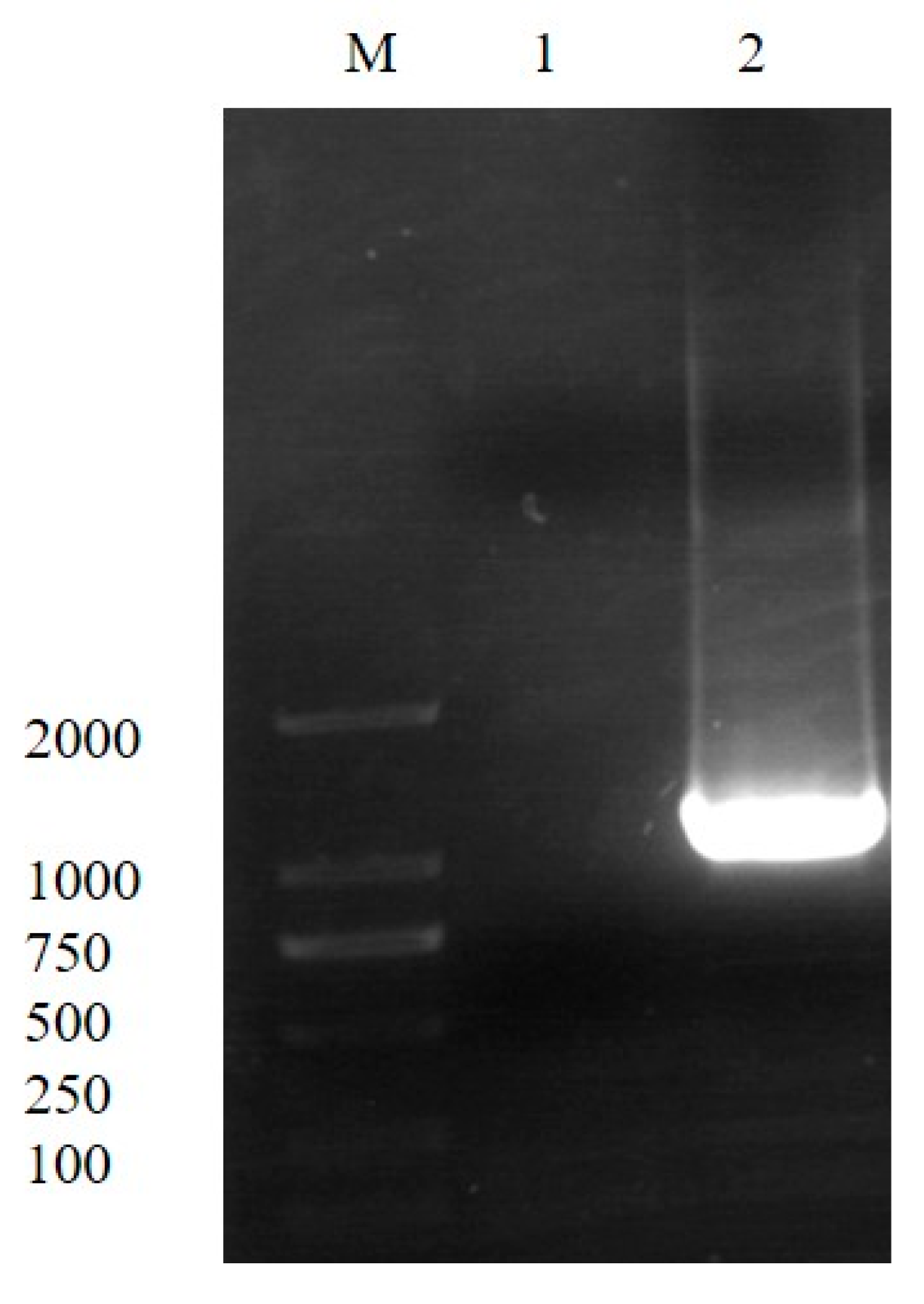 Polymers 15 02290 g003