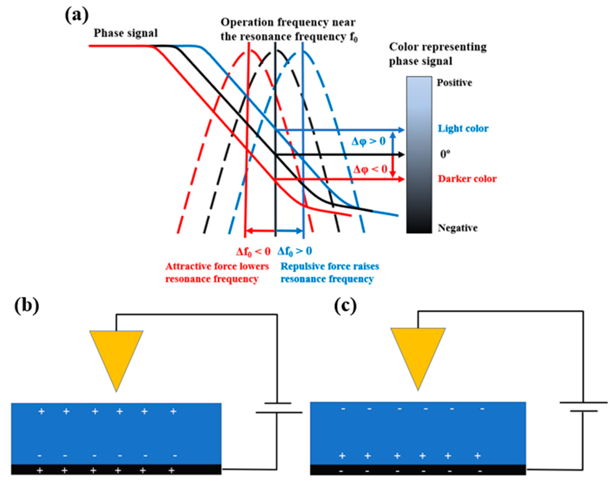 Polymers 15 02295 g001