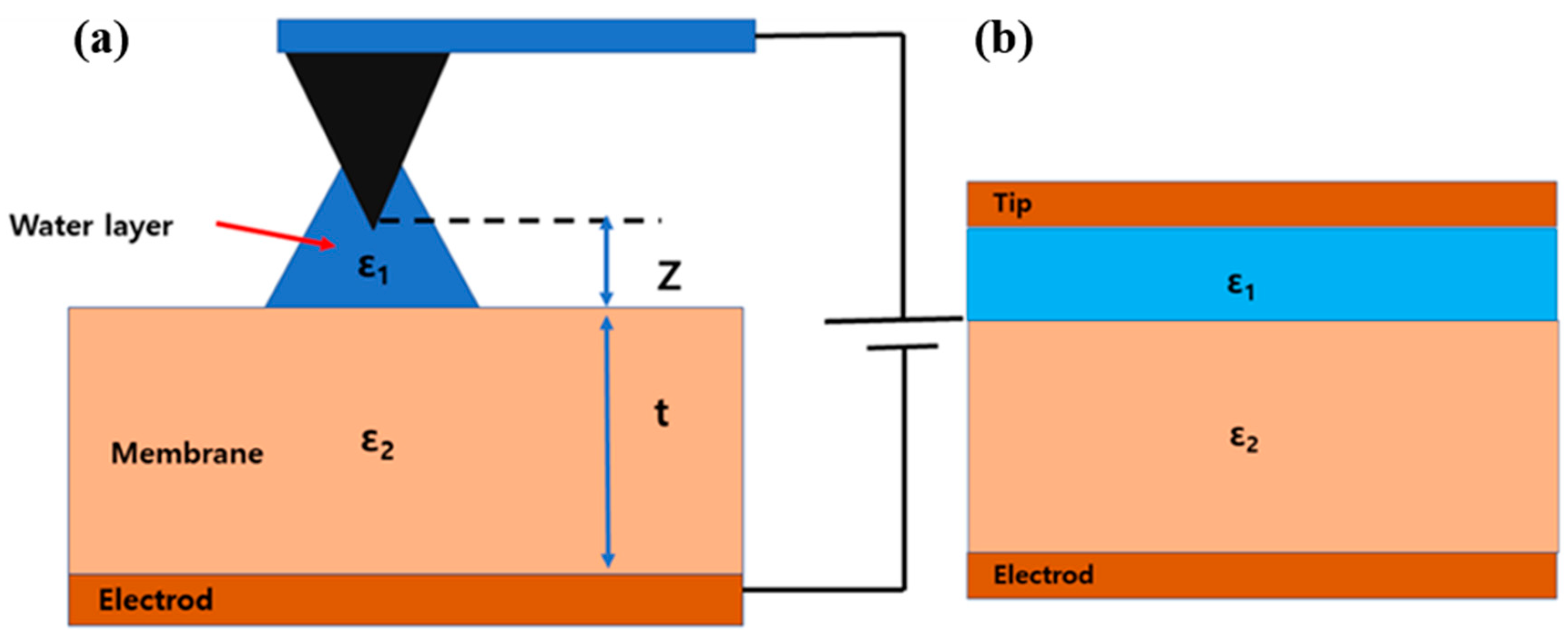 Polymers 15 02295 g002